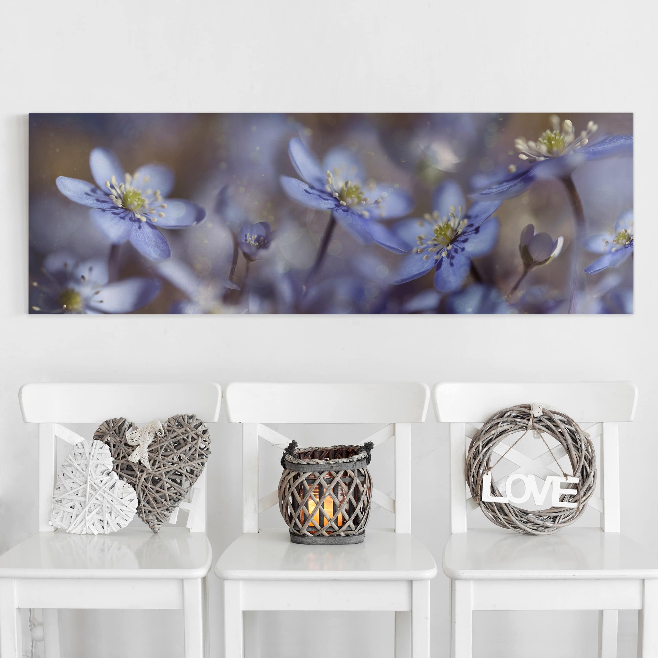 Leinwandbild Blumen Anemonen in Blau