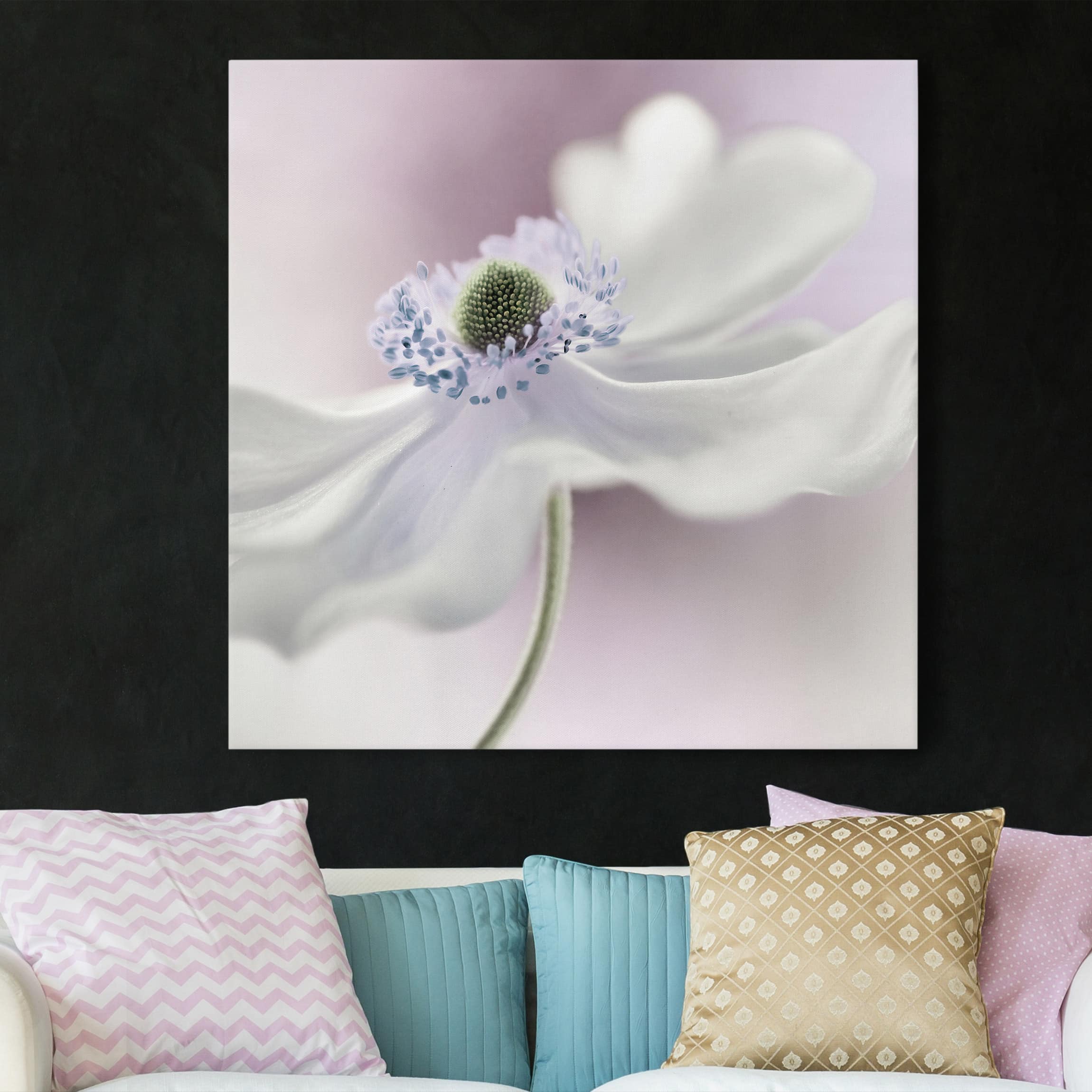 Leinwandbild Blumen Anemonenbrise