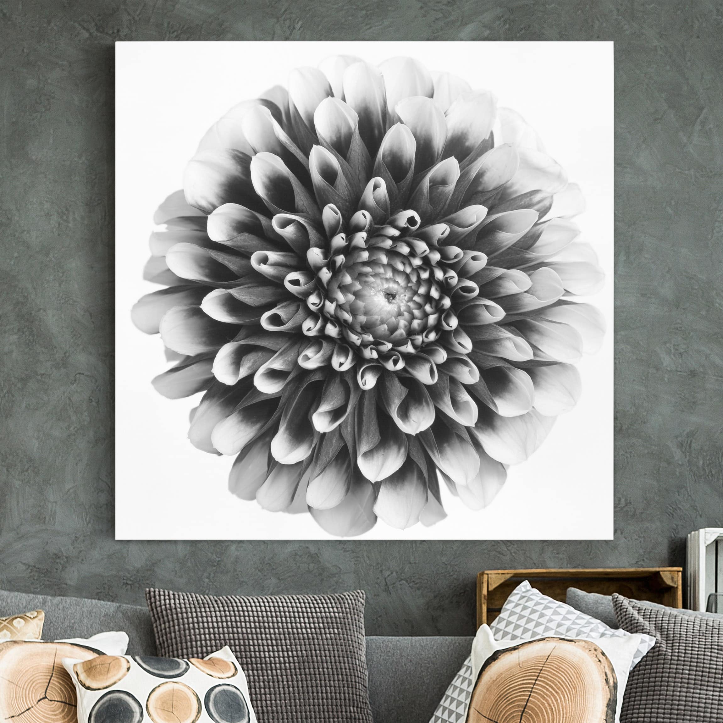 Leinwandbild - Quadrat Aster II