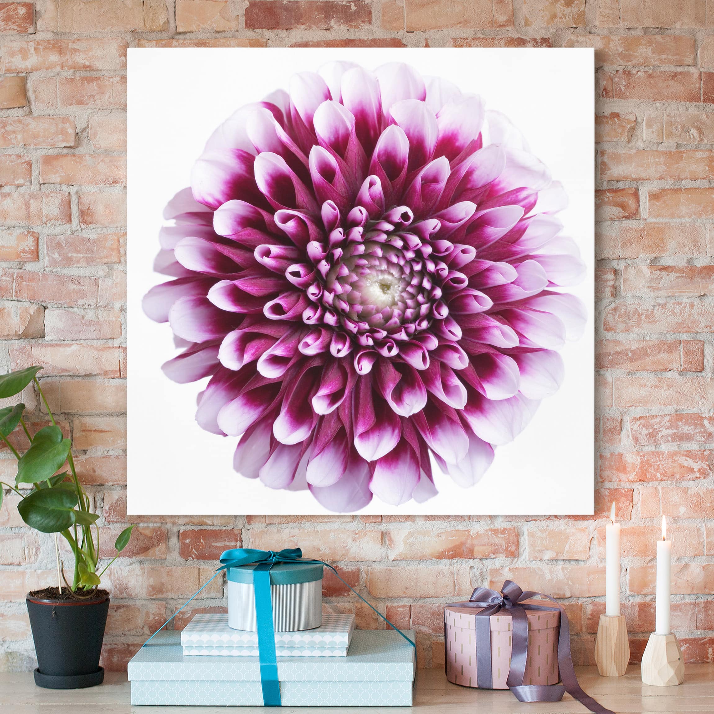 Leinwandbild - Quadrat Aster