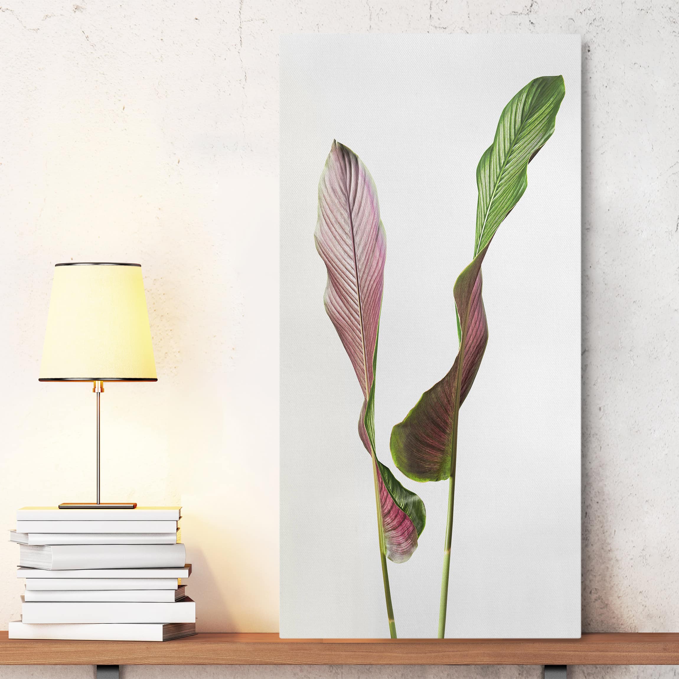 Leinwandbild Küche Blatt Calathea-ornata 02