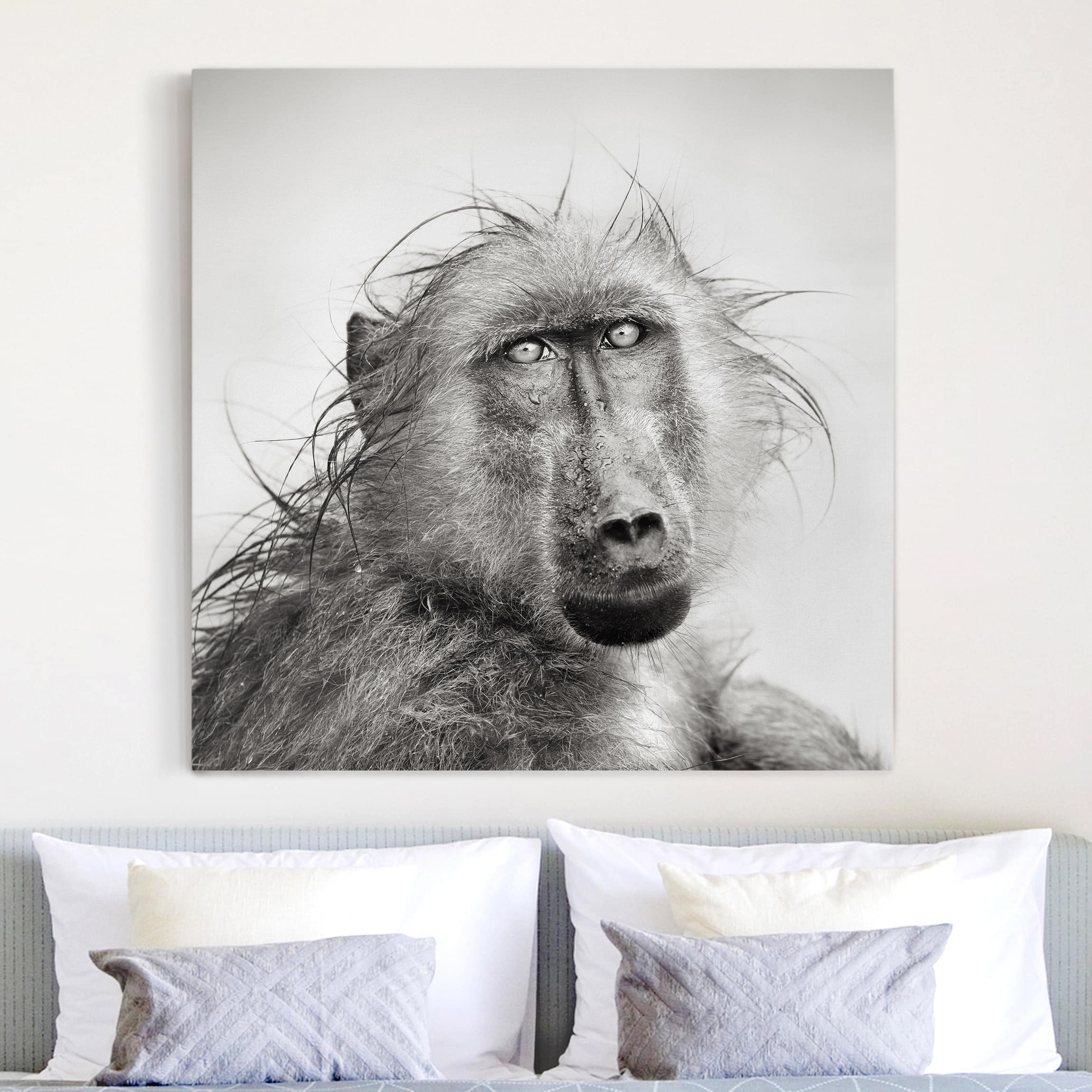 Leinwandbild - Quadrat Crying Baboon