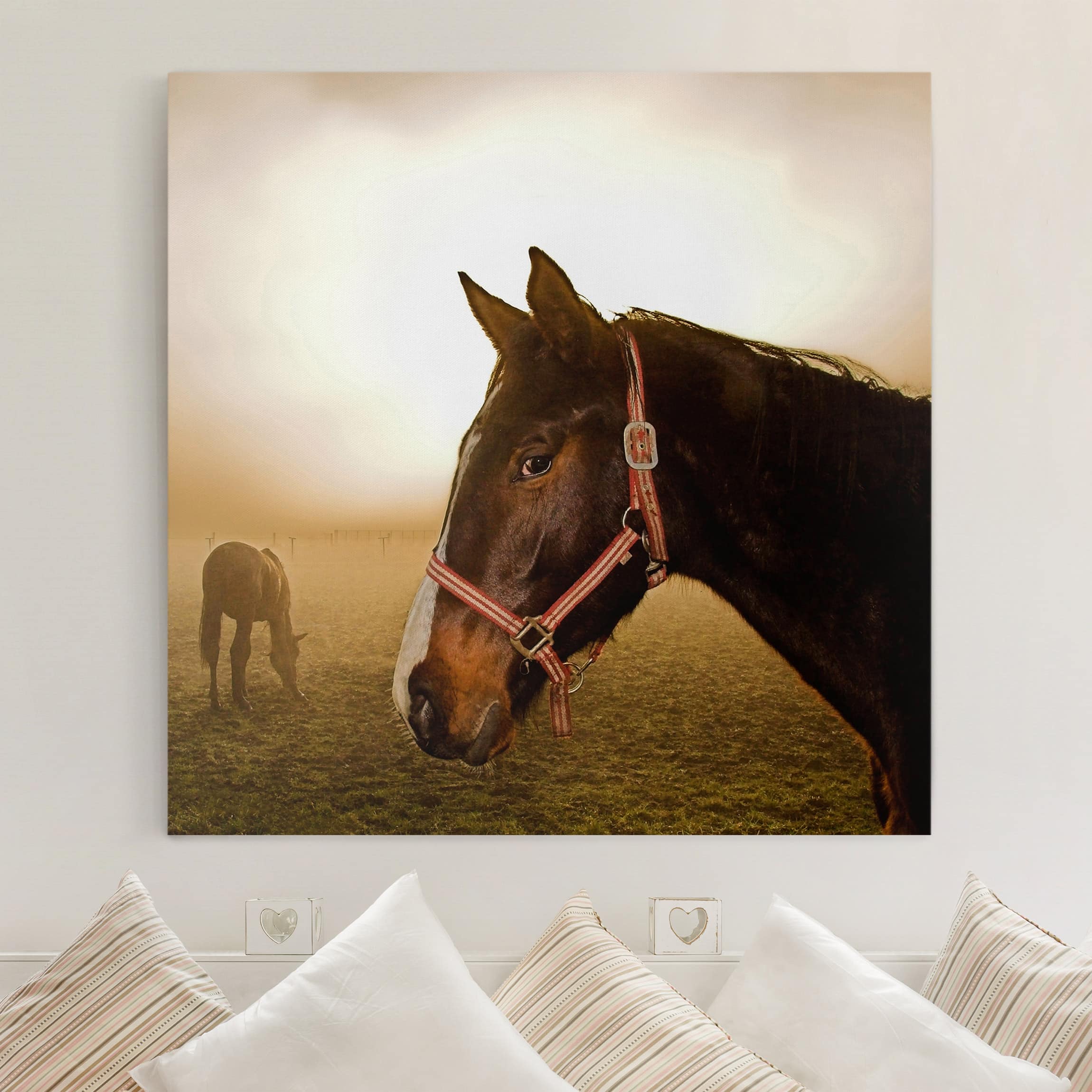 Leinwandbild - Quadrat Early Horse