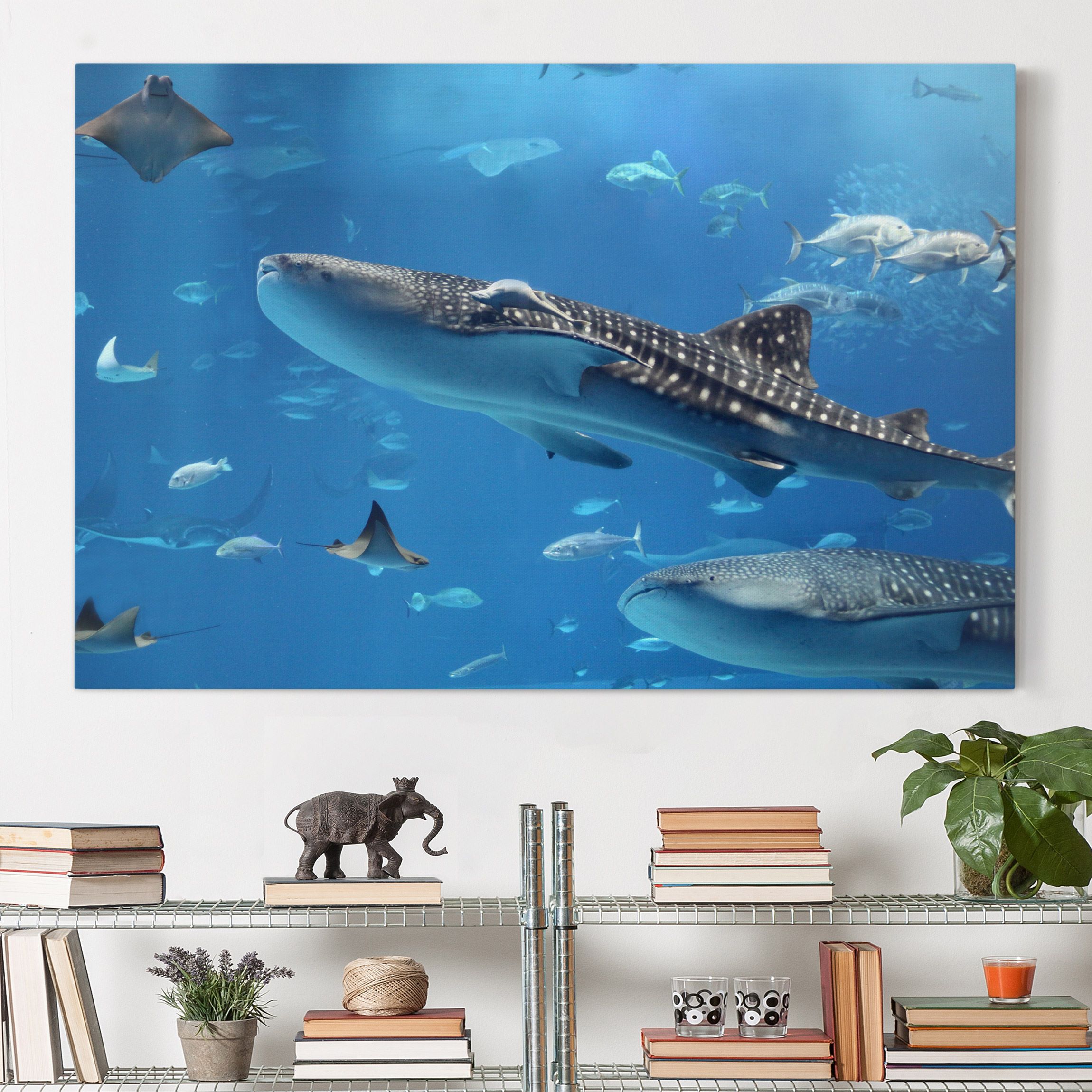 Leinwandbild - Querformat Fish in the Sea