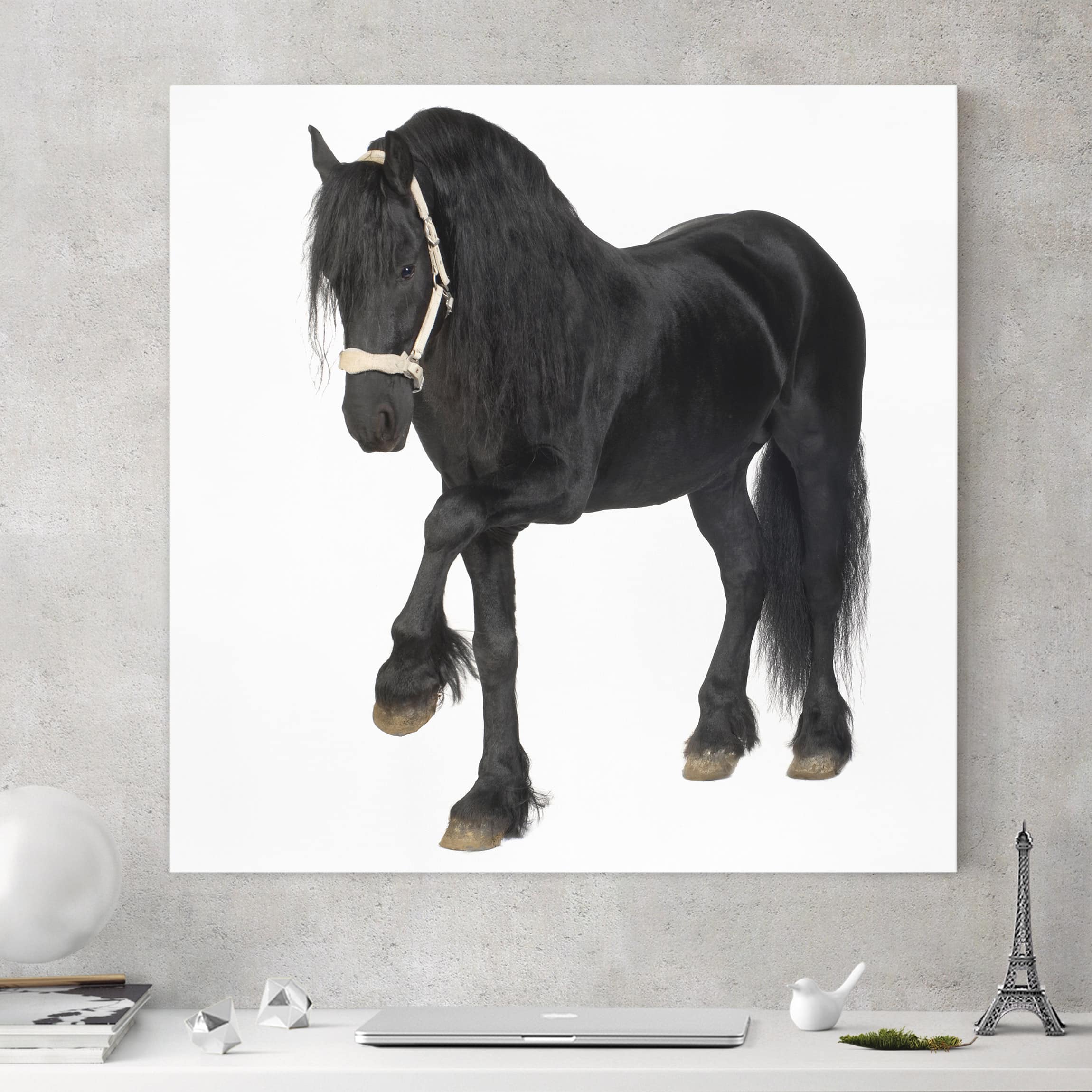 Leinwandbild Pferd Friesenstute