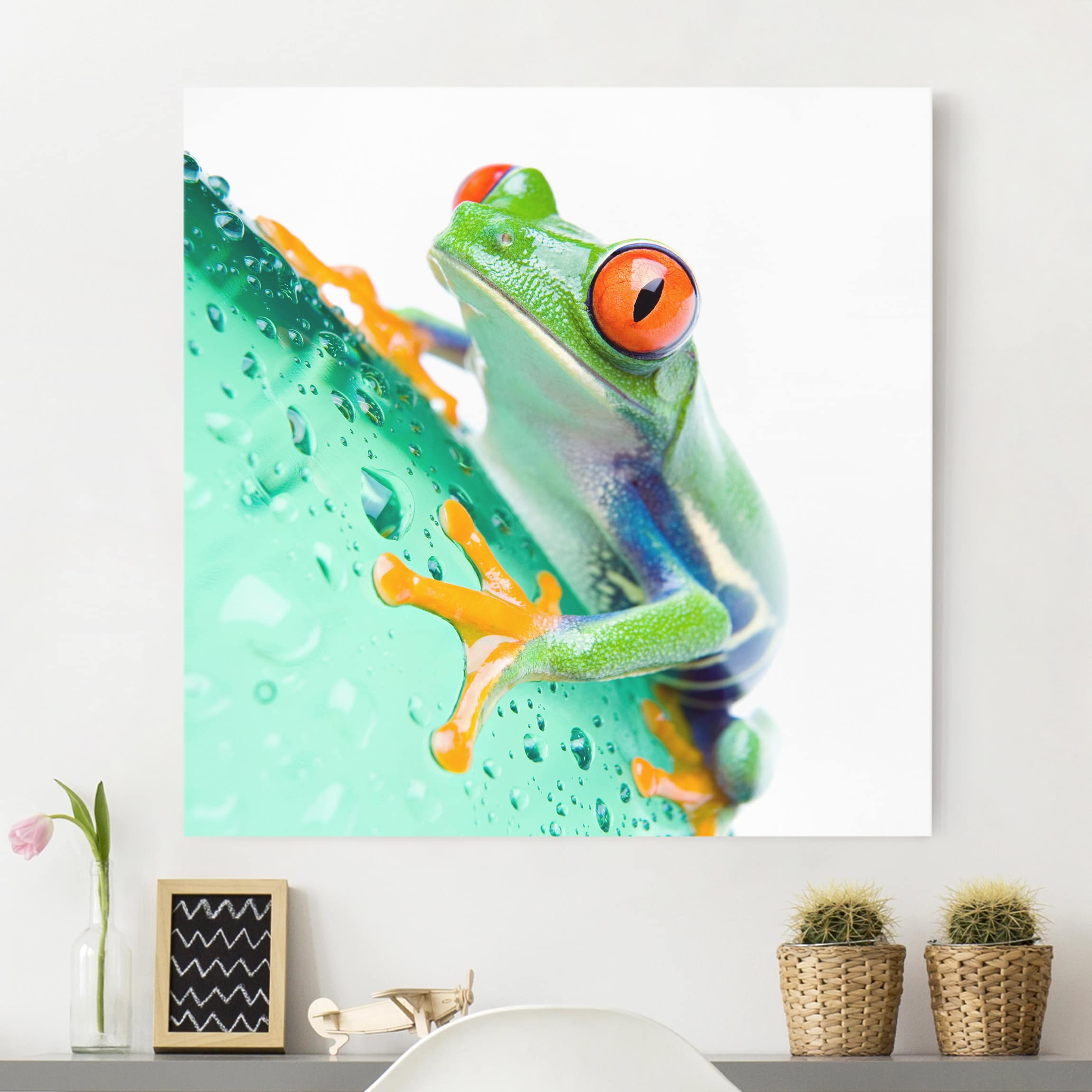 Leinwandbild - Quadrat Frog