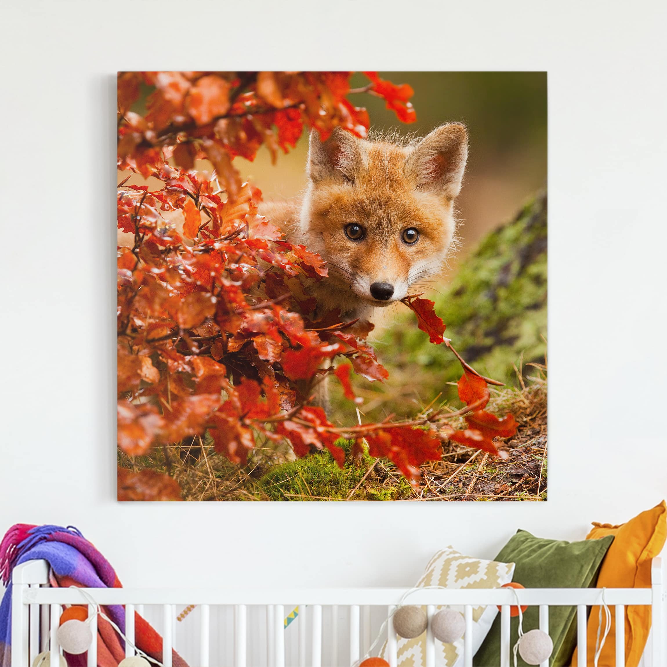 Leinwandbild Tiere Fuchs im Herbst