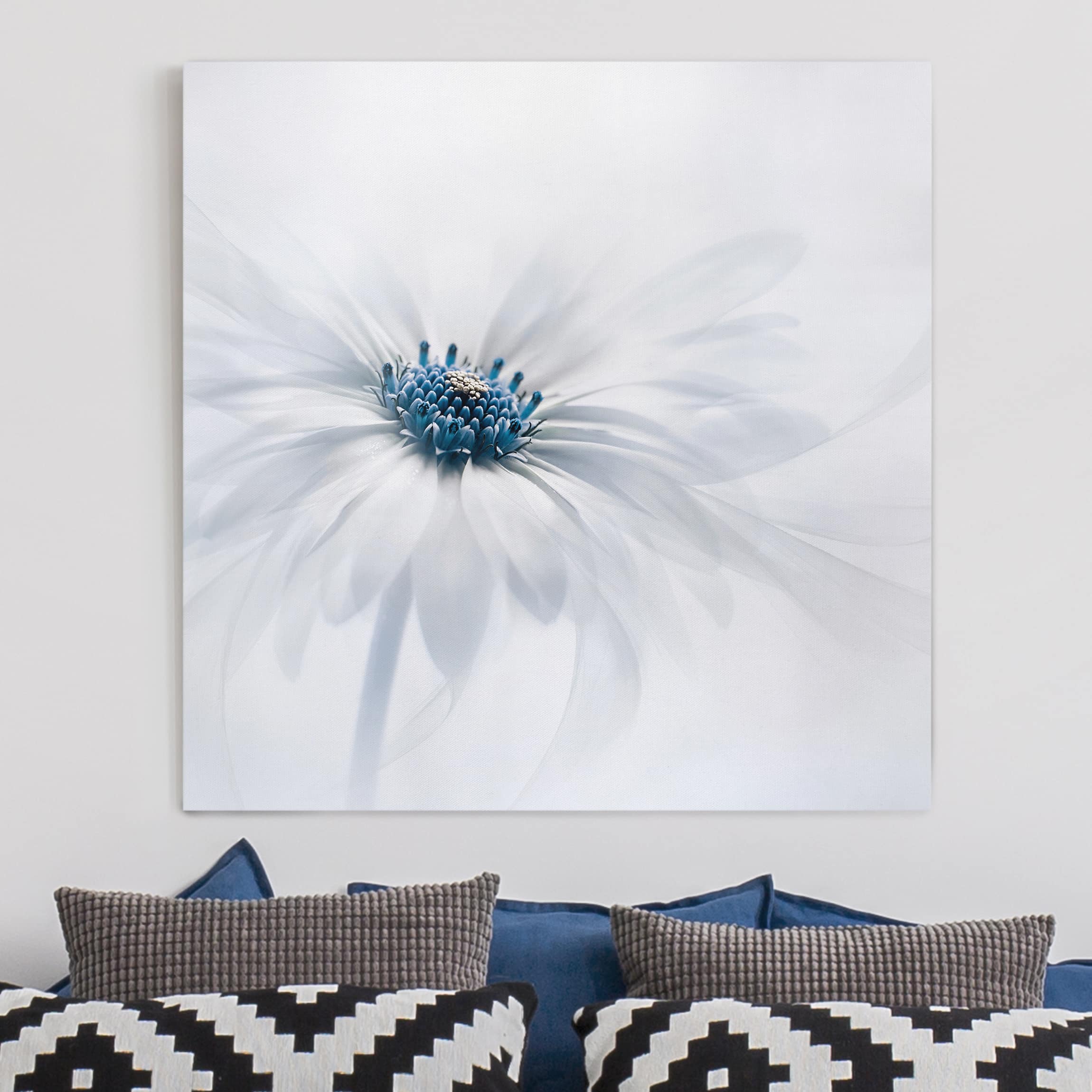 Leinwandbild Blumen Gänseblümchen in Blau