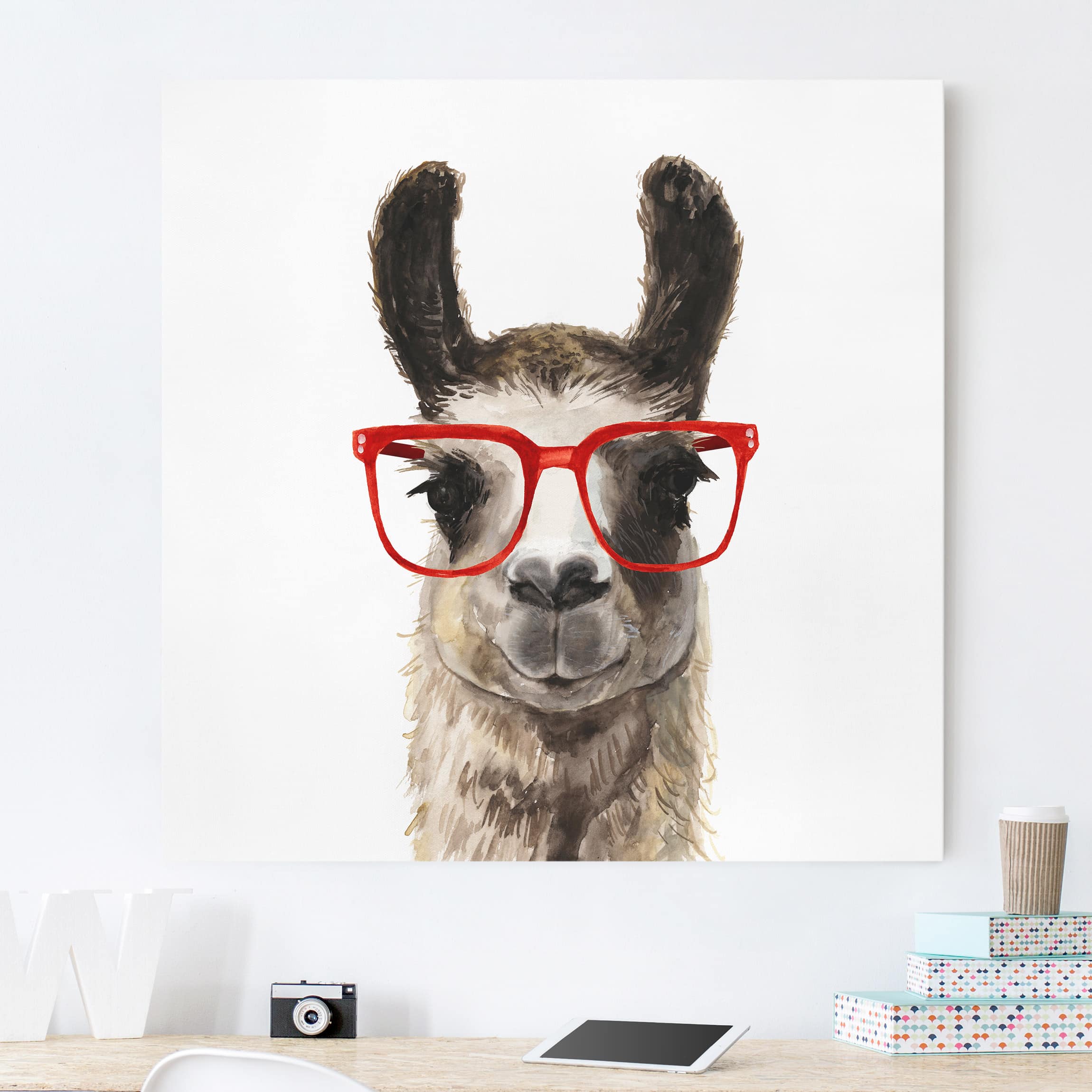 Leinwandbild - Quadrat Hippes Lama mit Brille II