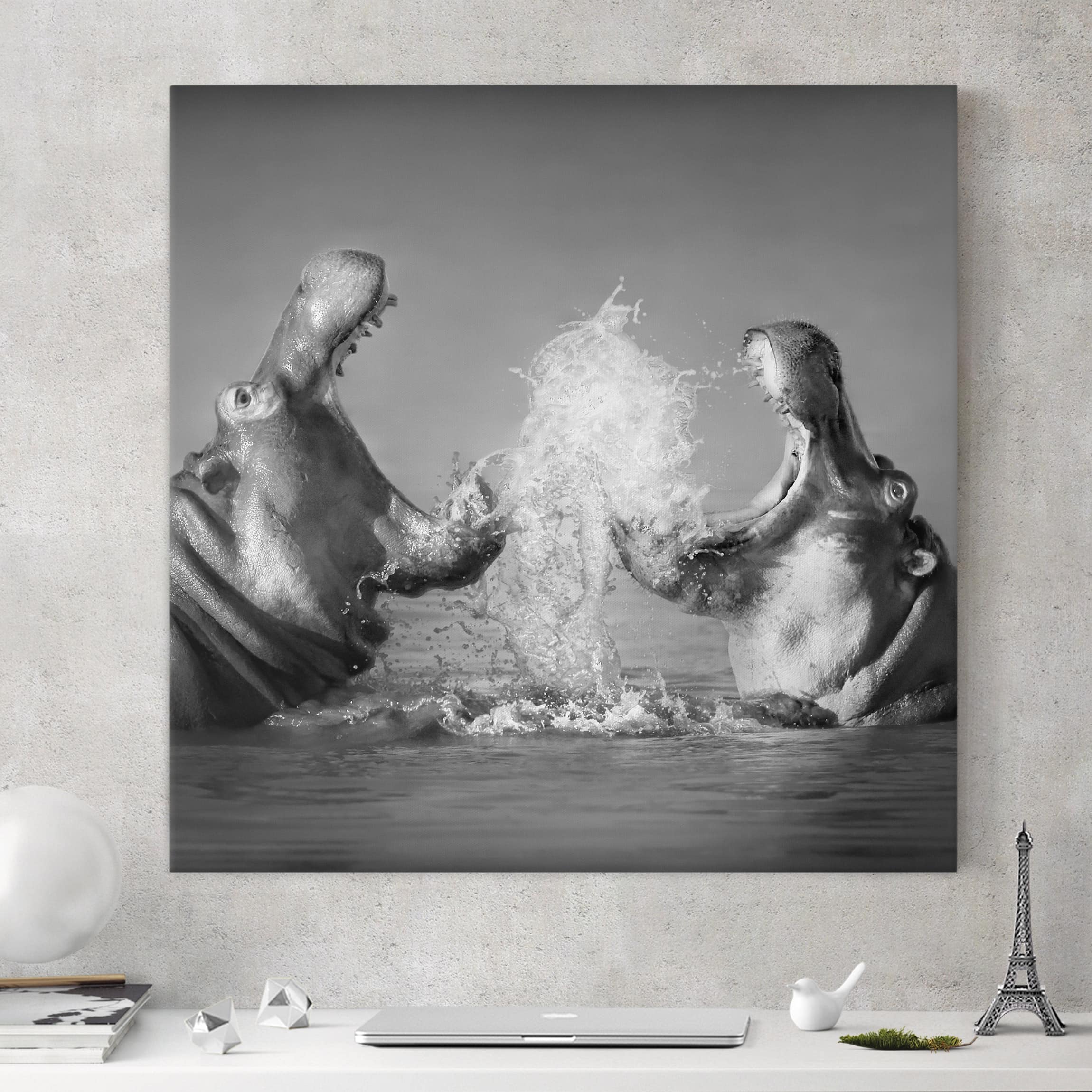 Leinwandbild - Quadrat Hippo Fight
