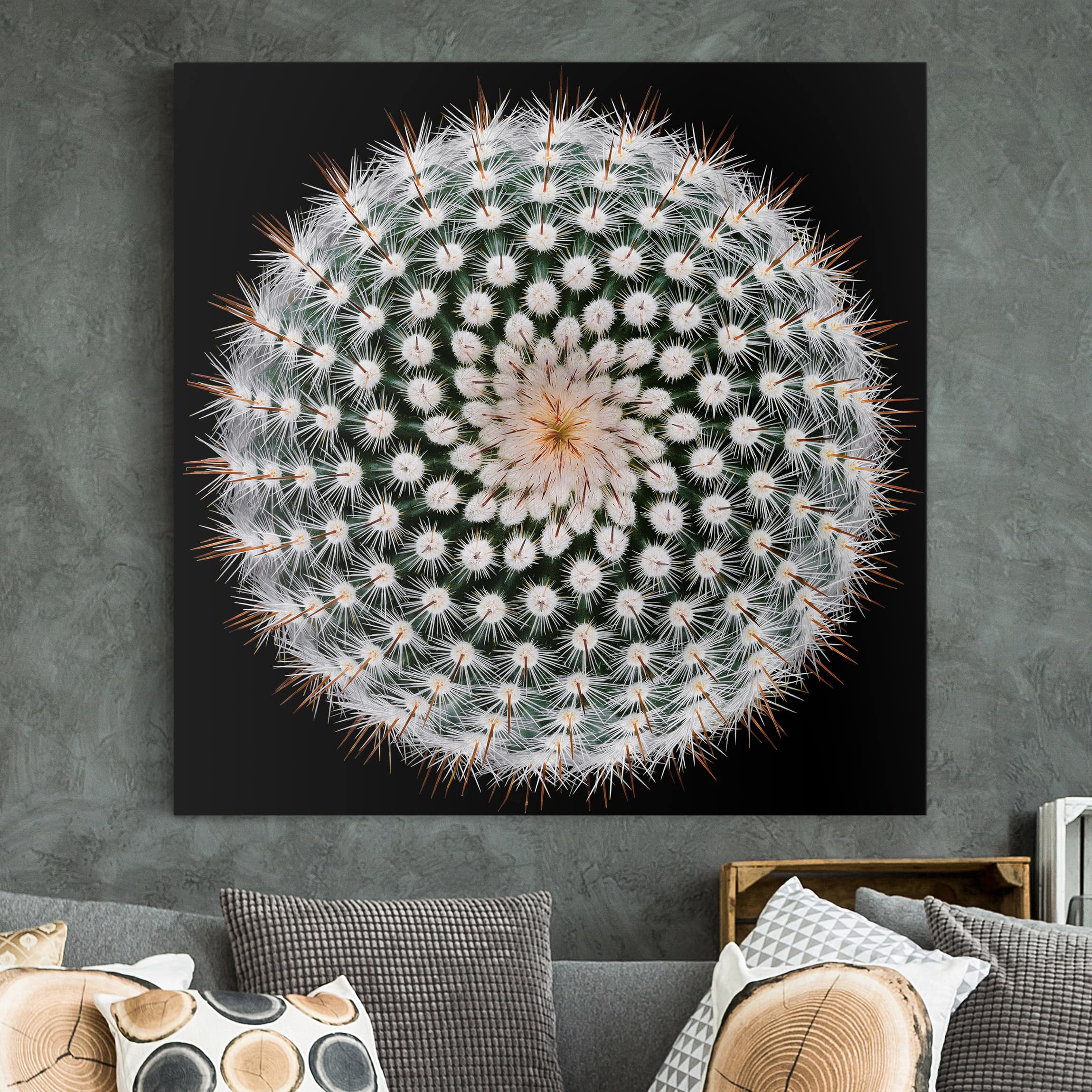 Leinwandbild Blumen Kaktusblüte