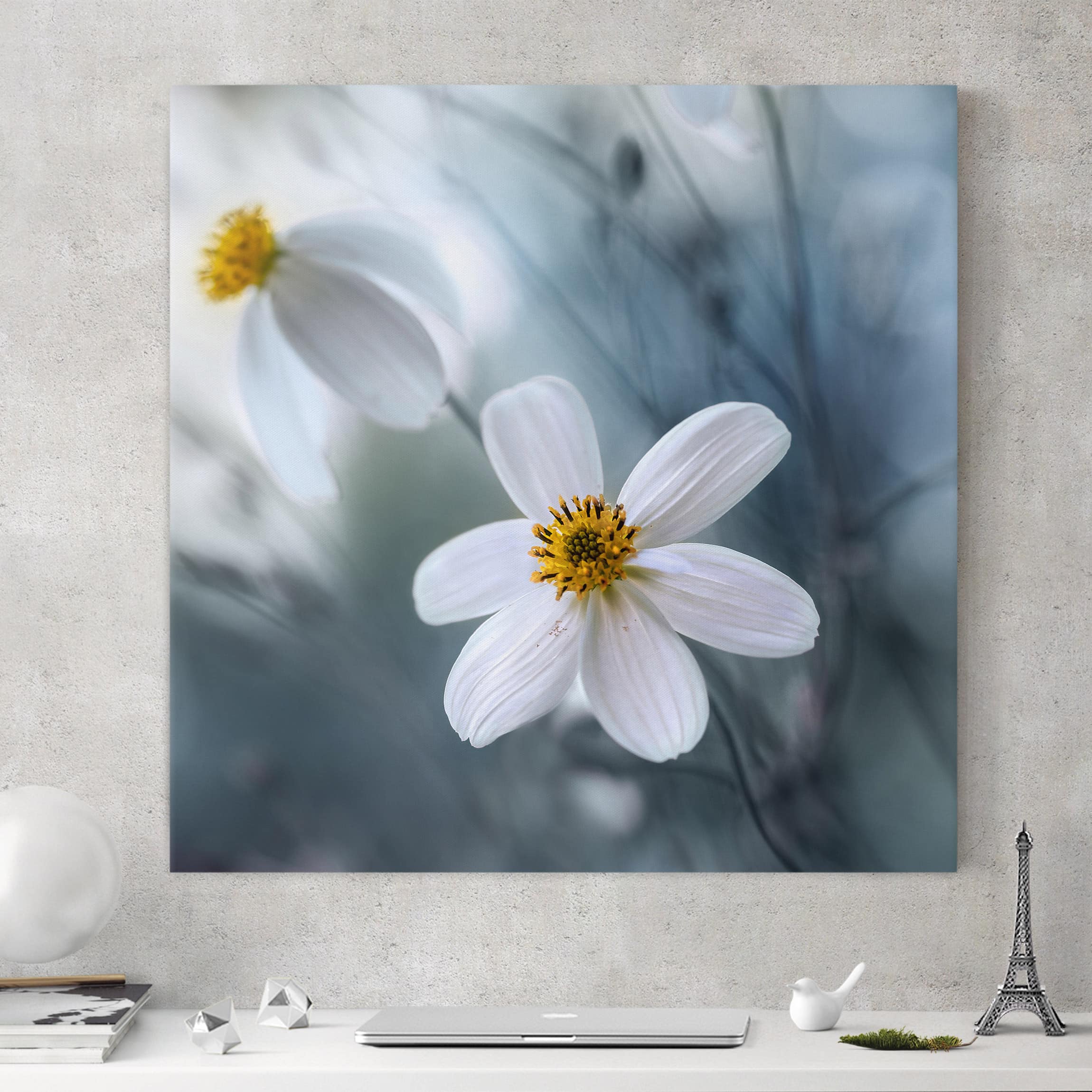 Leinwandbild Blumen Kosmeen in Pastell