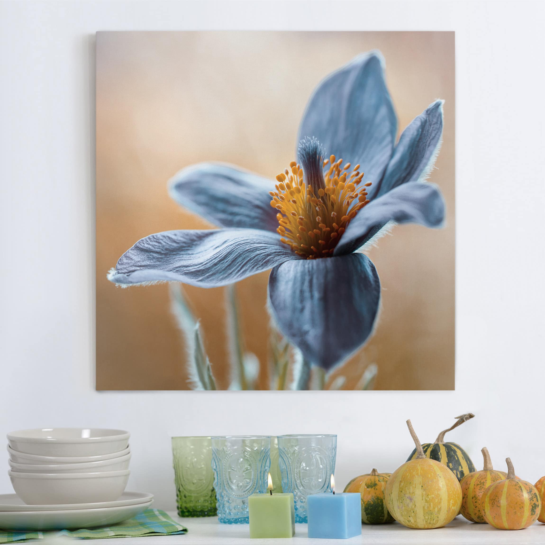 Leinwandbild Blumen Kuhschelle in Blau