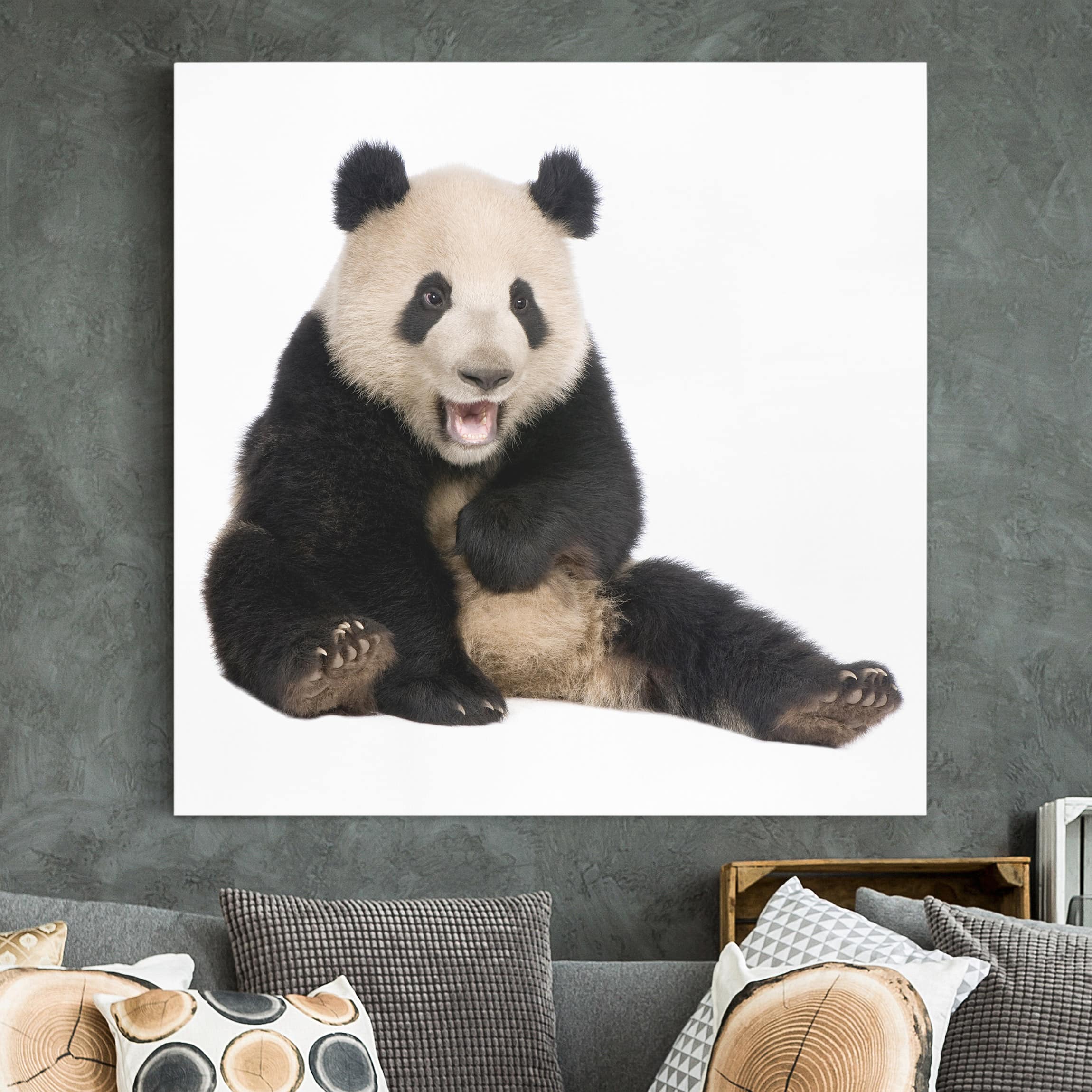 Leinwandbild - Quadrat Lachender Panda