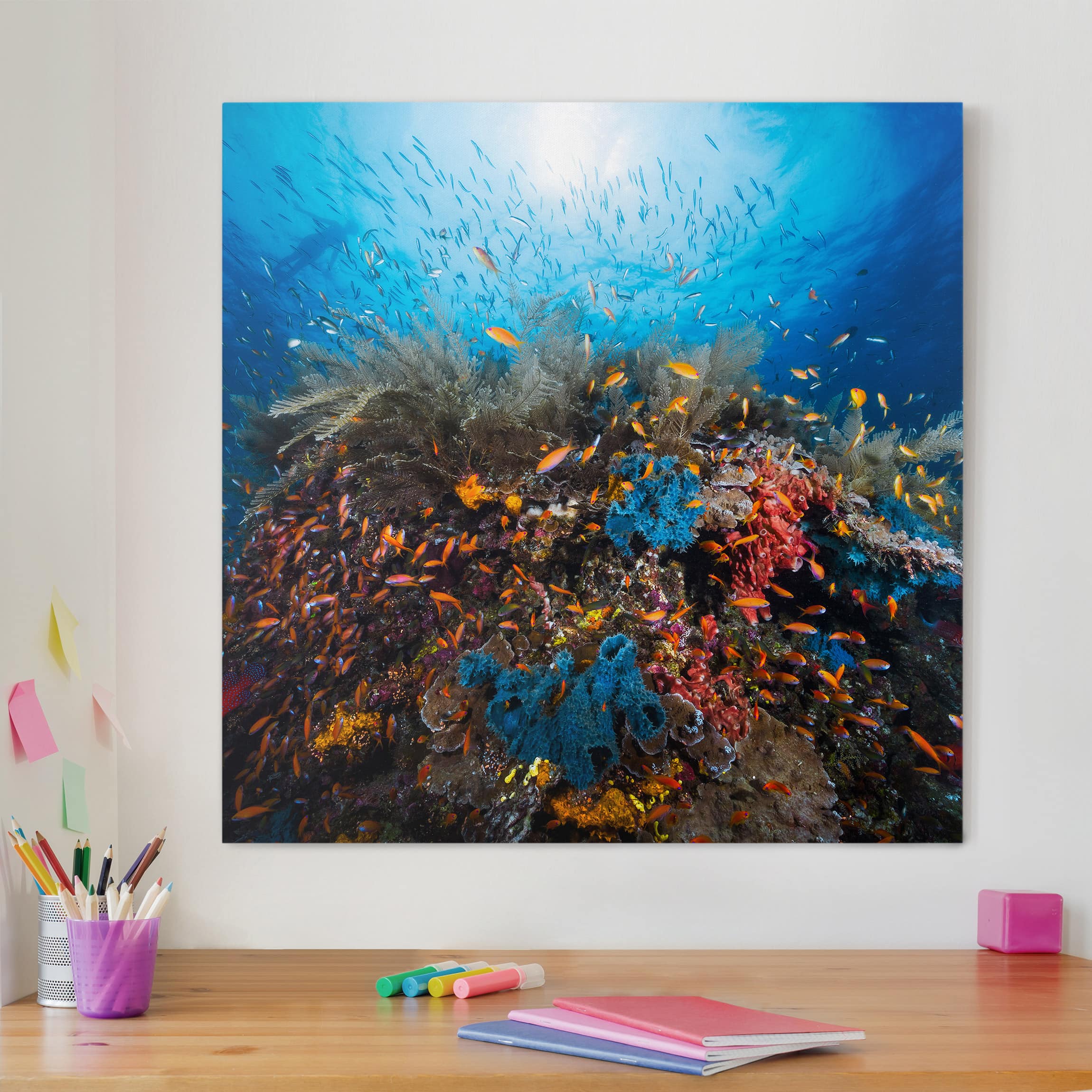 Leinwandbild Tiere Lagune Unterwasser