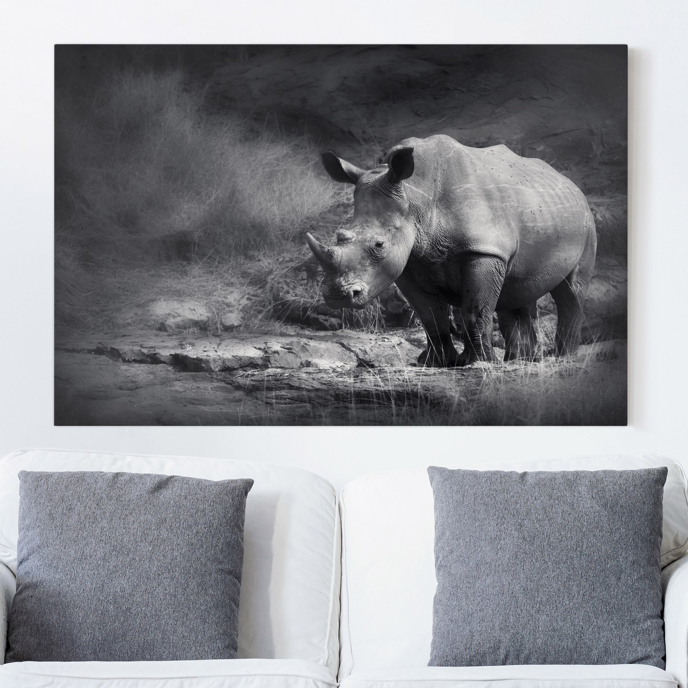 Leinwandbild Tiere Lonesome Rhinoceros