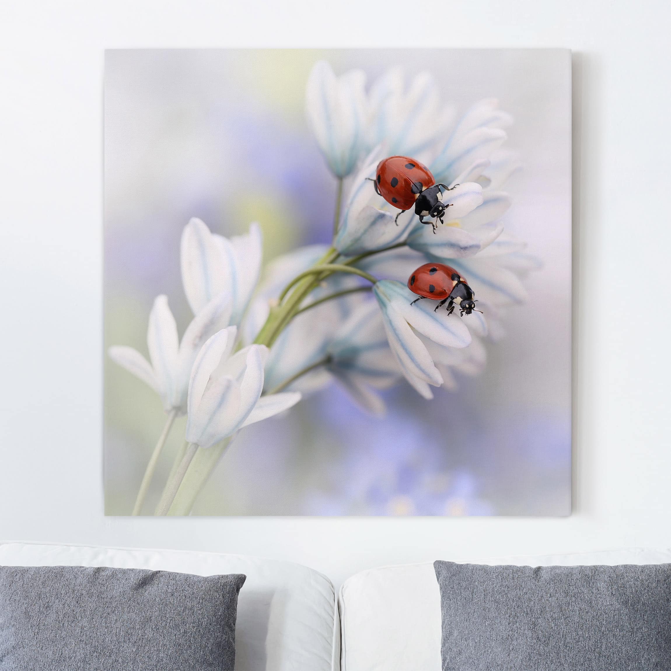 Leinwandbild Blumen Marienkäfer Paar