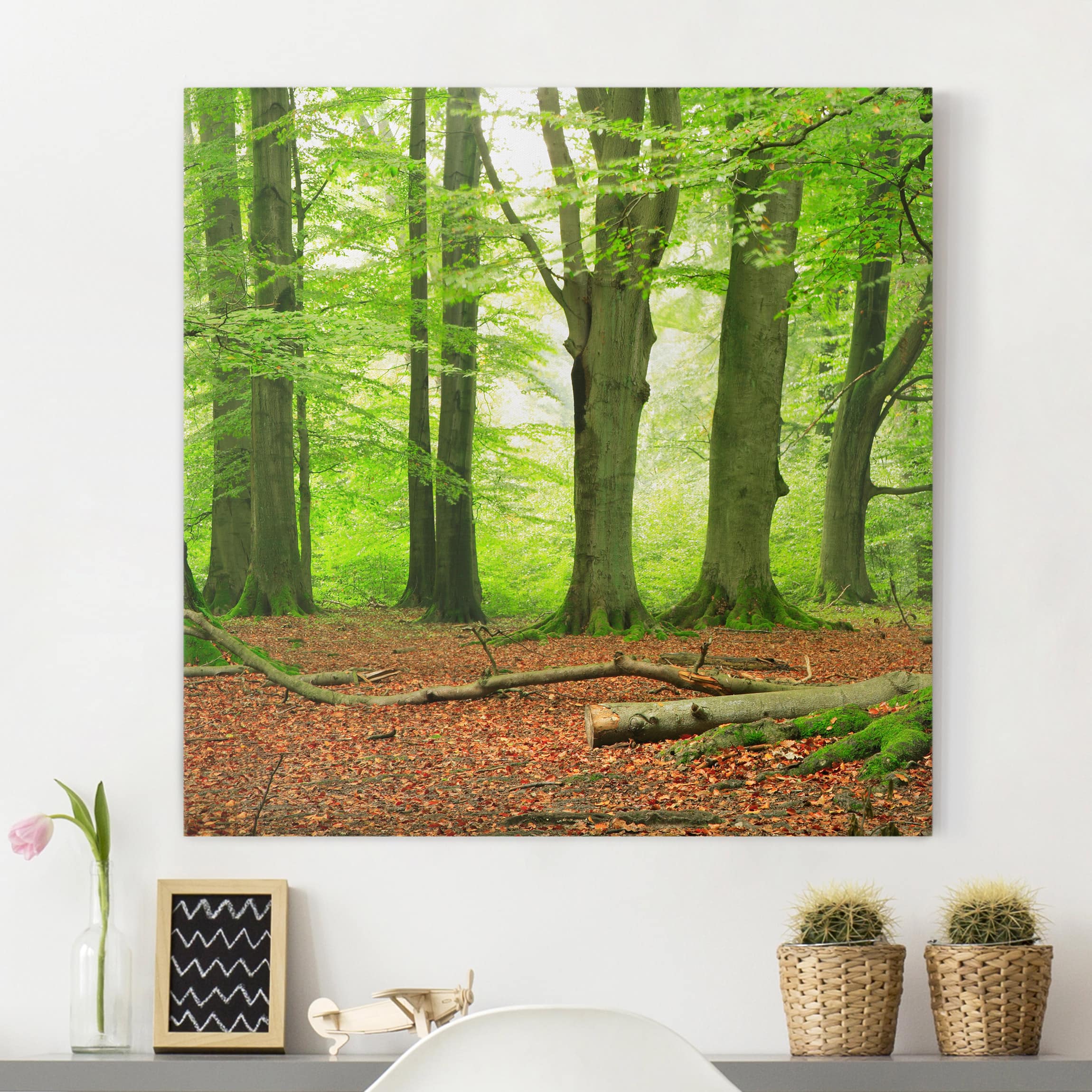 Leinwandbild - Quadrat Mighty Beech Trees