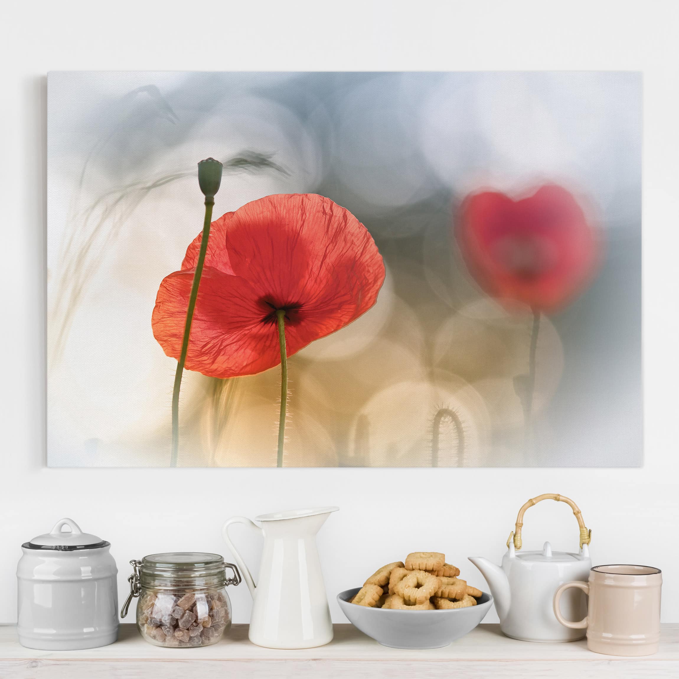 Leinwandbild Blumen Mohnblumen am Morgen