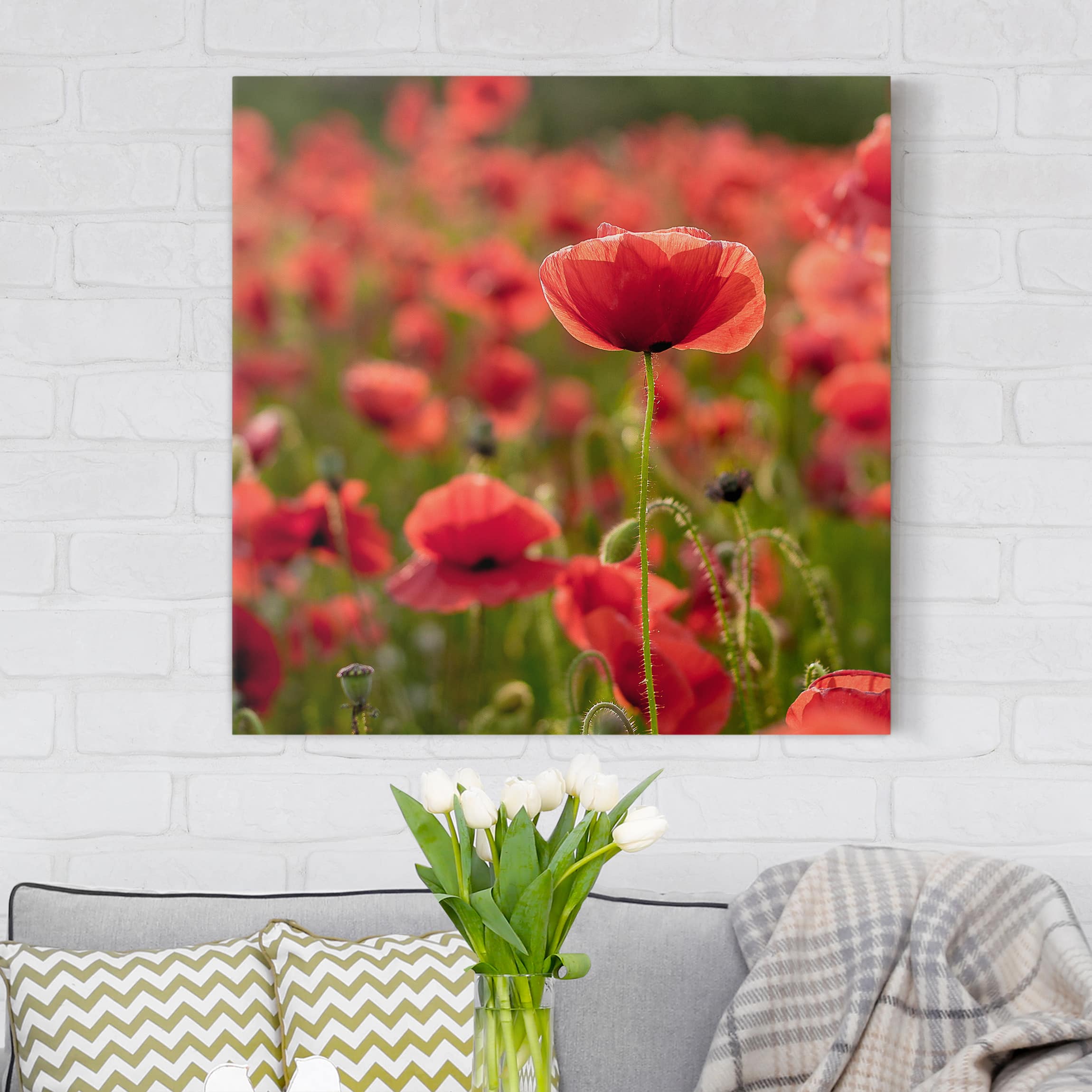 Leinwandbild Blumen Mohnfeld im Sonnenlicht