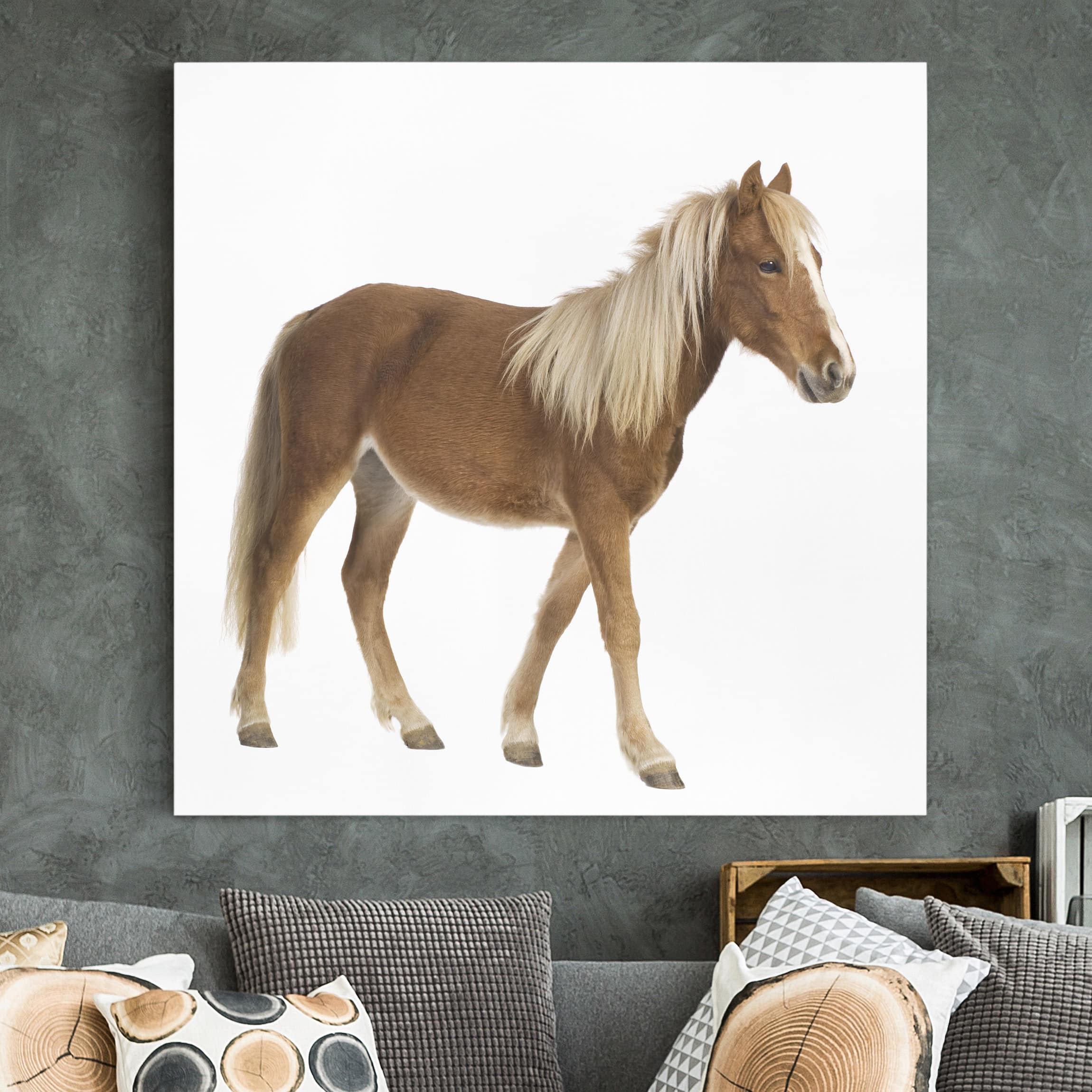 Leinwandbild Pferd Pony