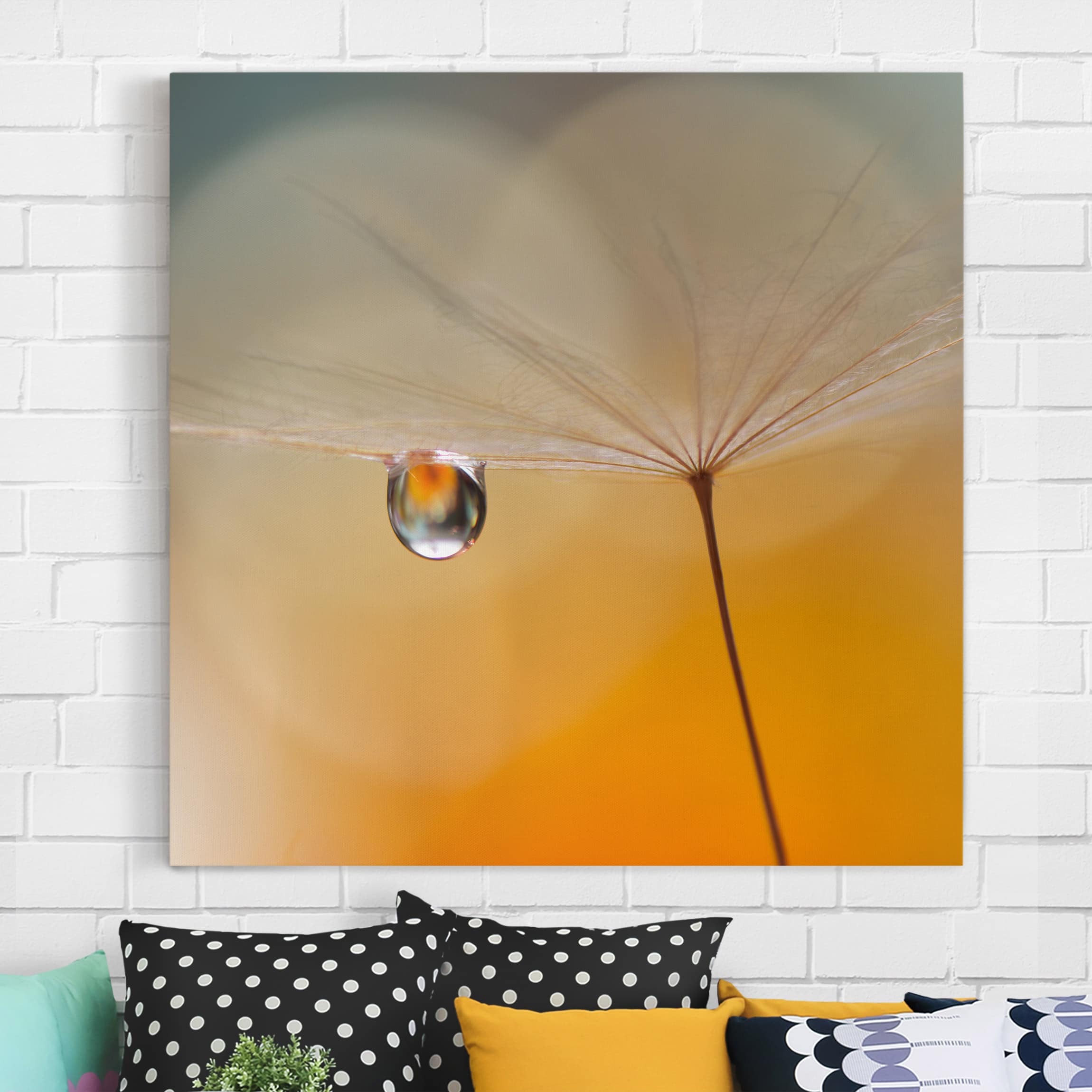 Leinwandbild Blumen Pusteblume in Orange