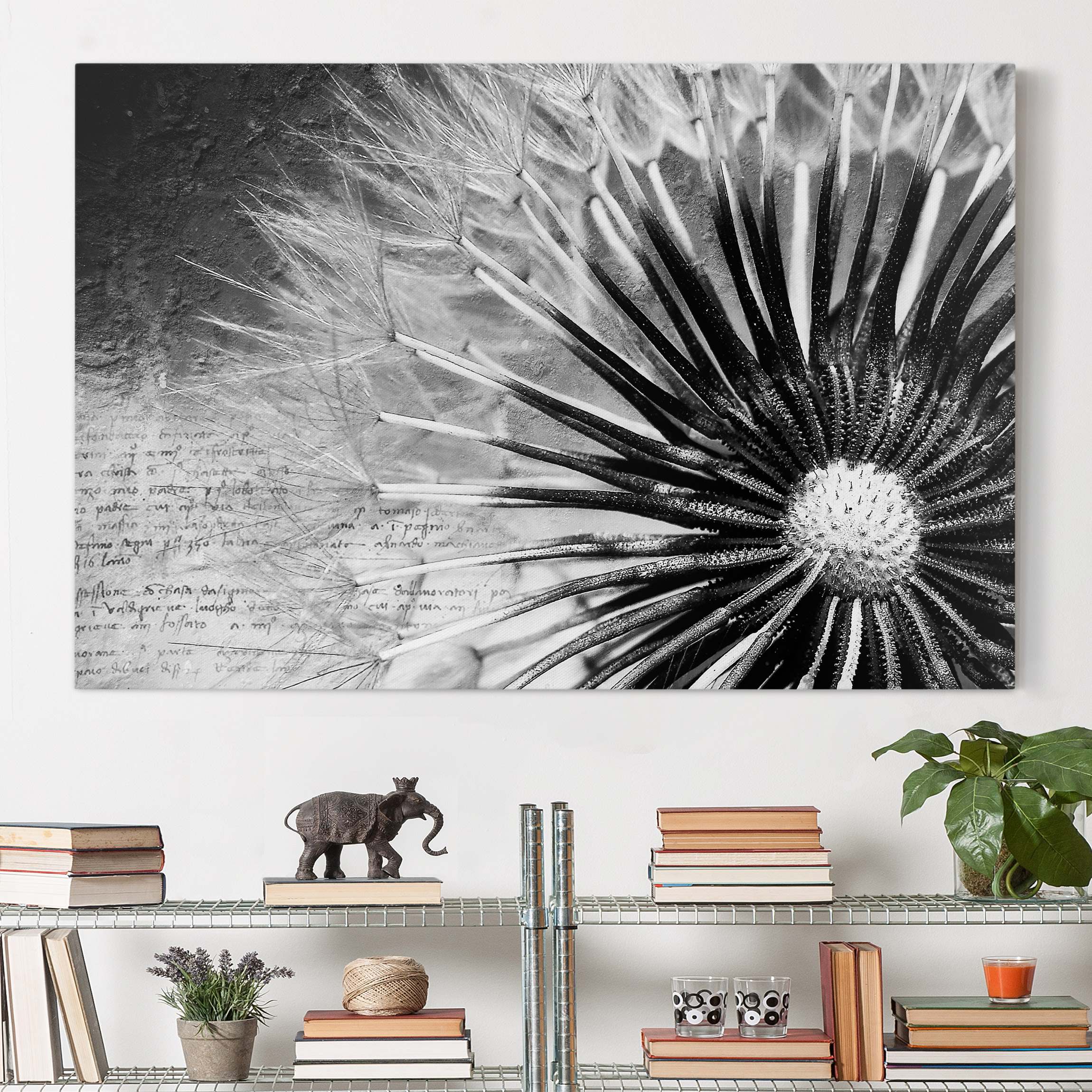 Leinwandbild Blumen Pusteblume Schwarz & Weiß