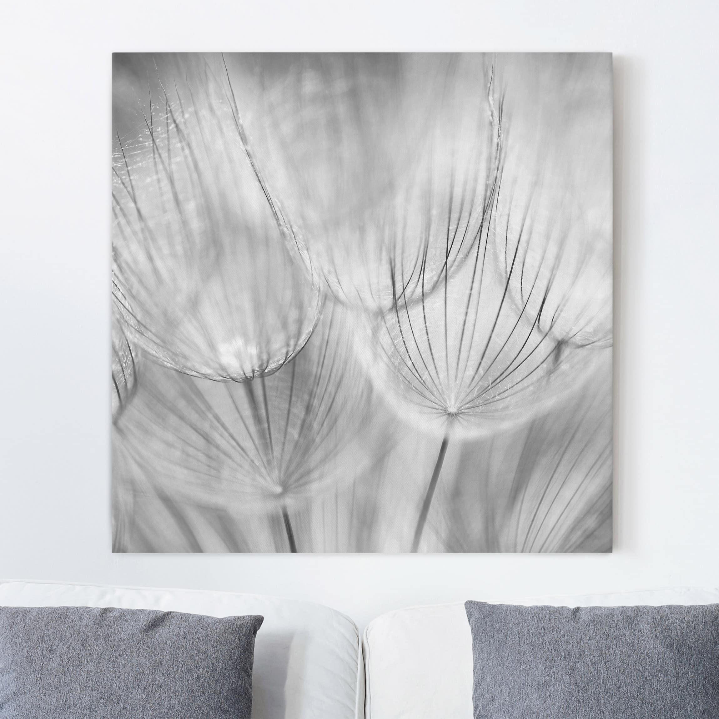Leinwandbild Blumen Pusteblumen Makroaufnahme in schwarz weiß