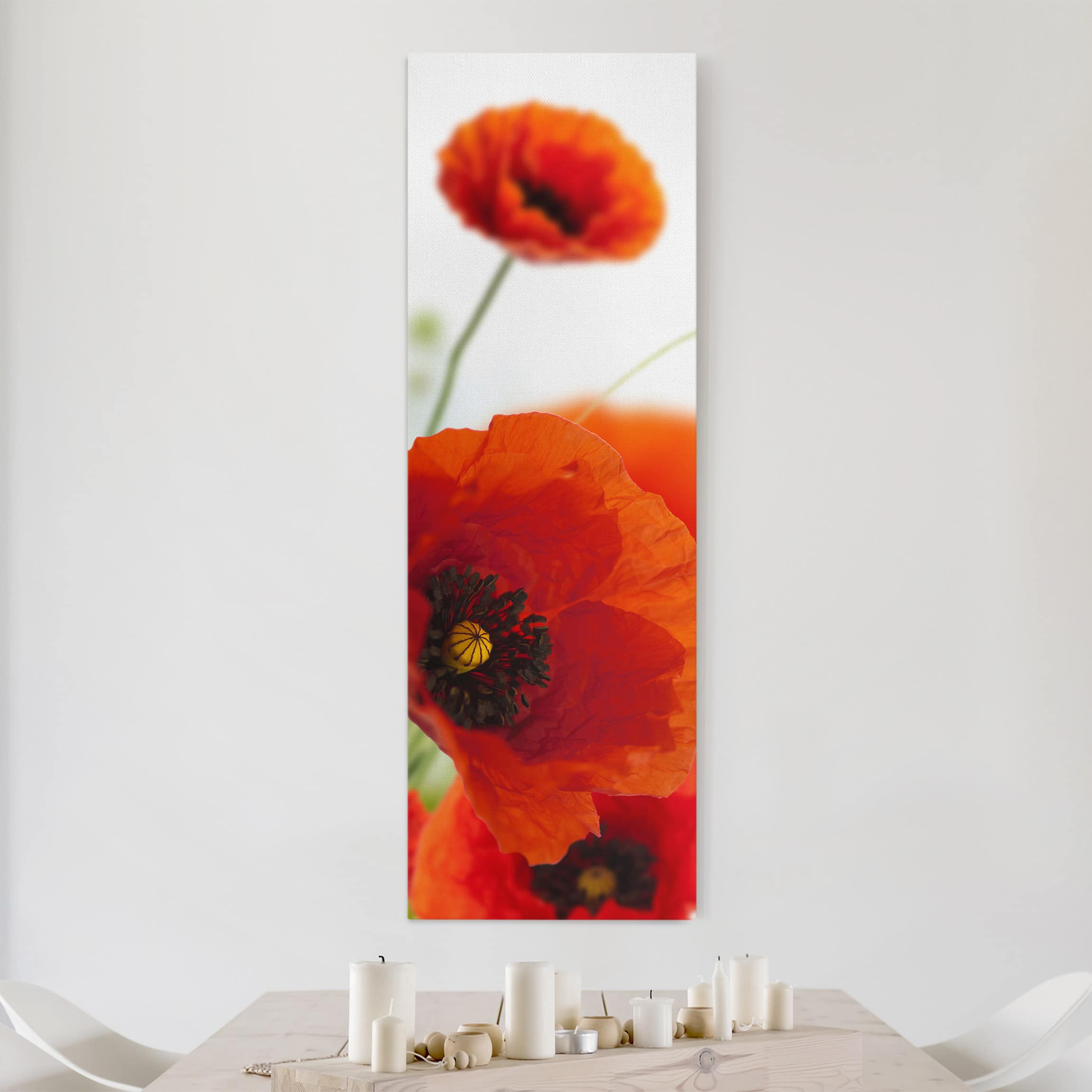 Leinwandbild Blumen Radiant Poppies