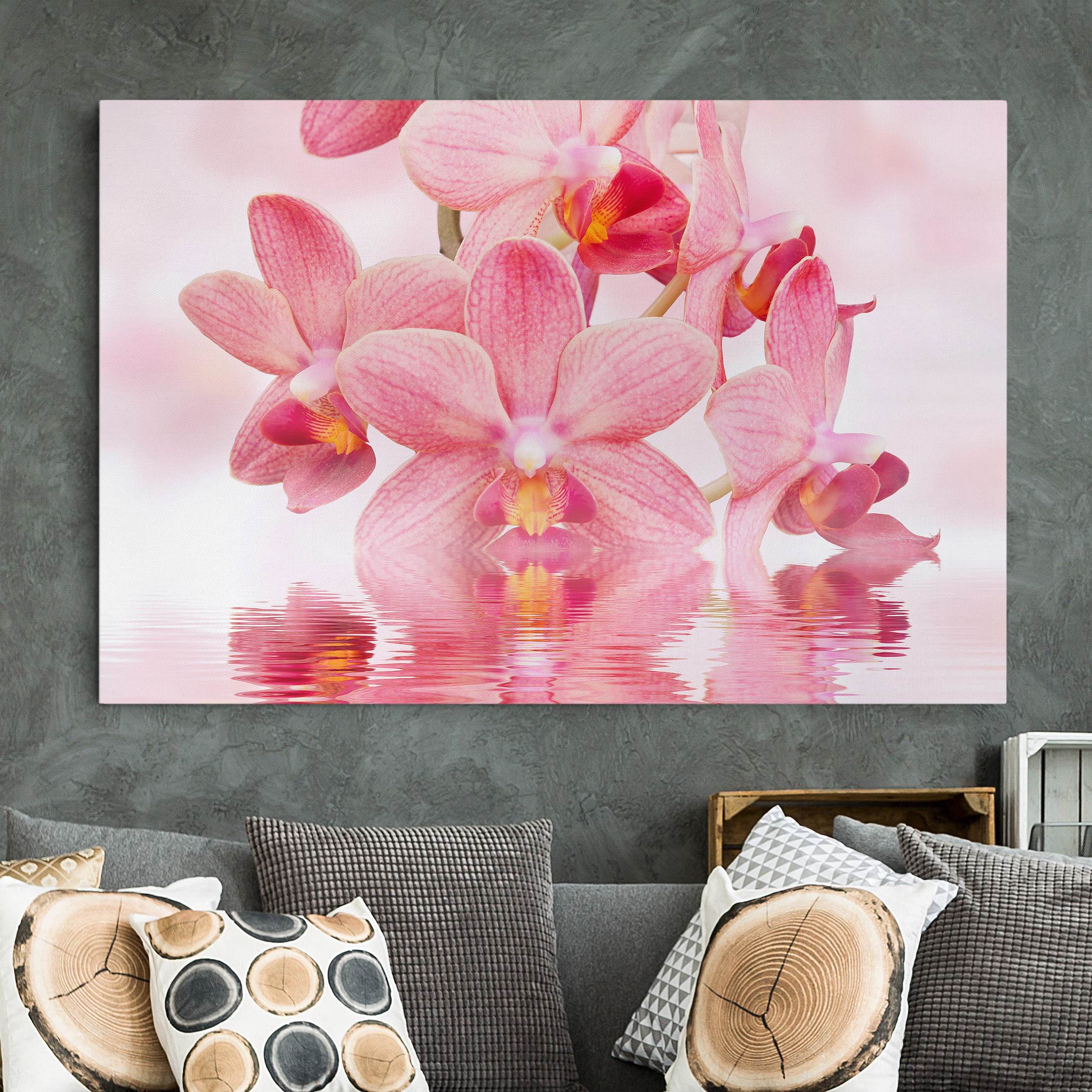 Leinwandbild - Querformat Rosa Orchideen auf Wasser