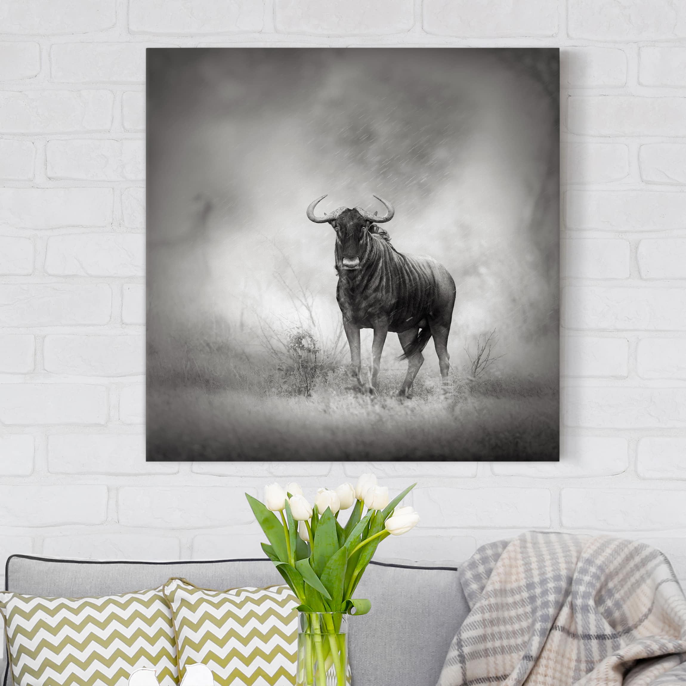 Leinwandbild - Quadrat Staring Wildebeest
