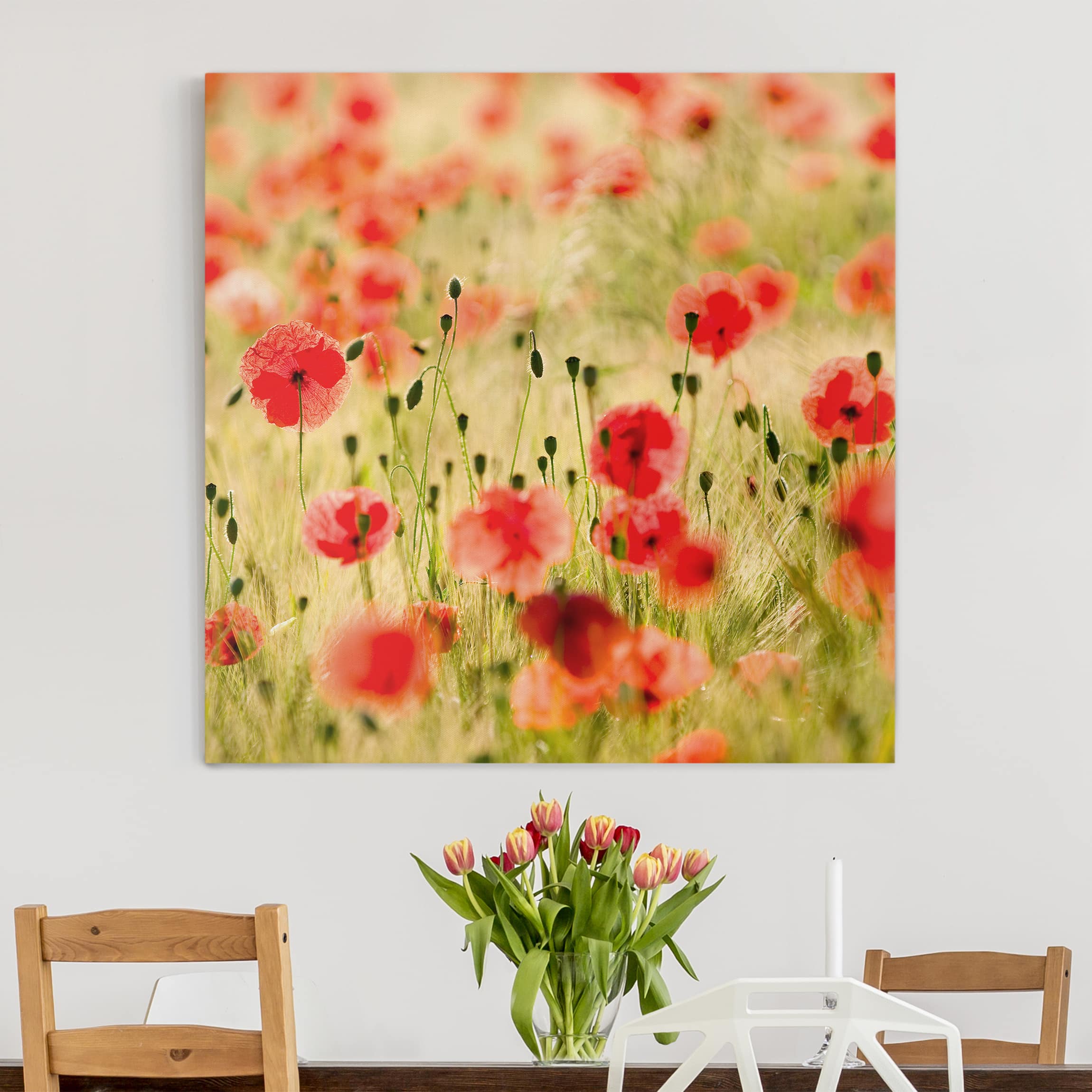 Leinwandbild Blumen Summer Poppies