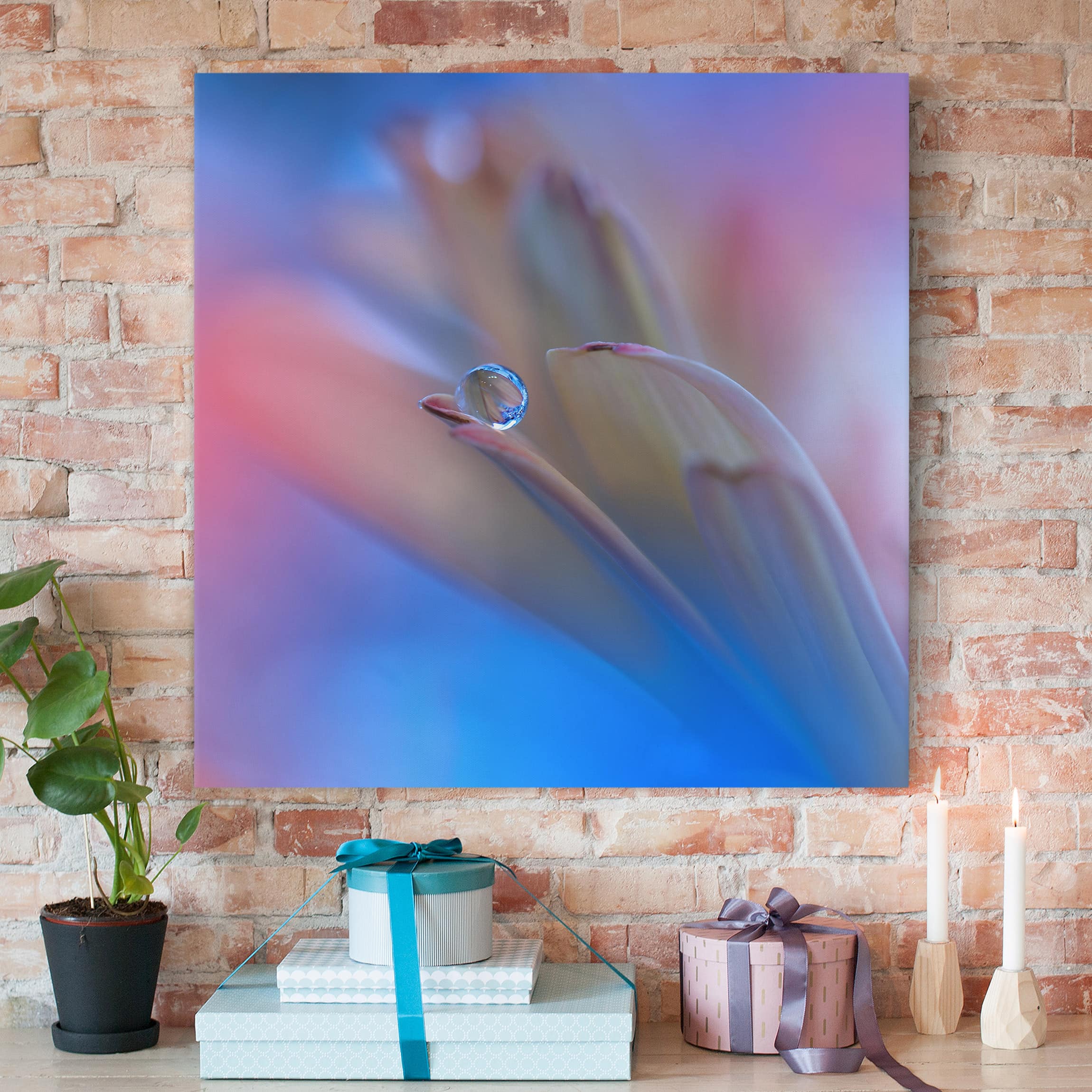 Leinwandbild Blumen Touch Me Softly