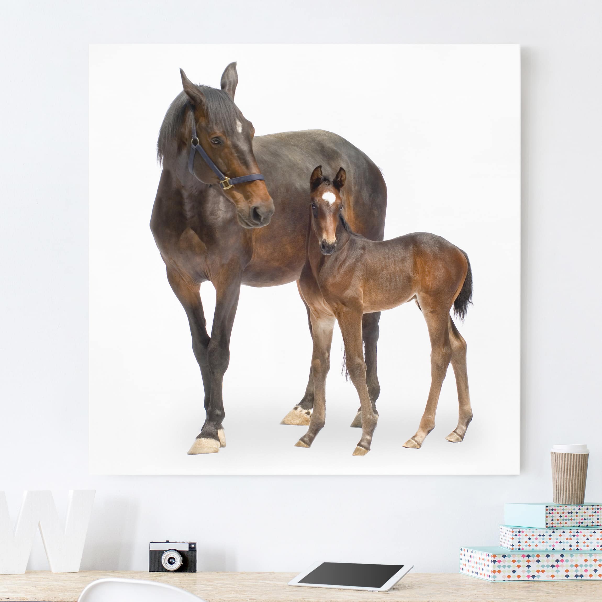 Leinwandbild Pferd Trakehnerstute & Fohlen