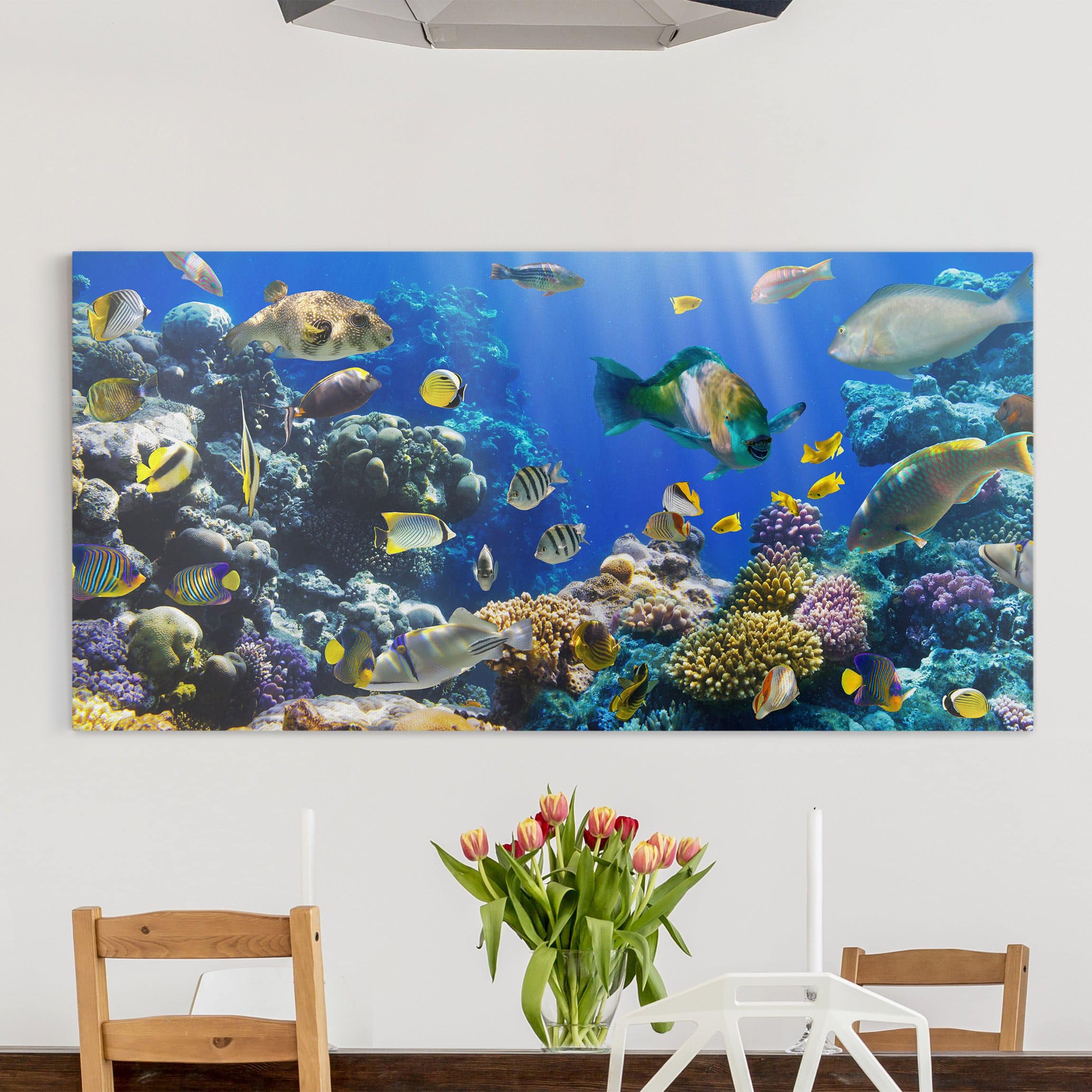 Leinwandbild Tiere Underwater Reef