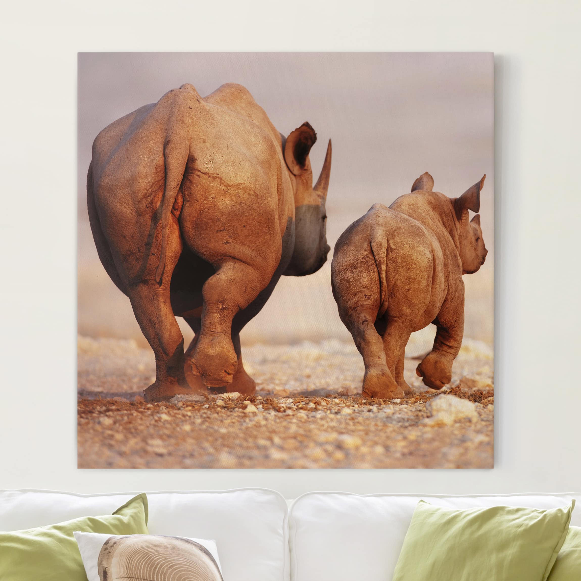 Leinwandbild - Quadrat Wandering Rhinos