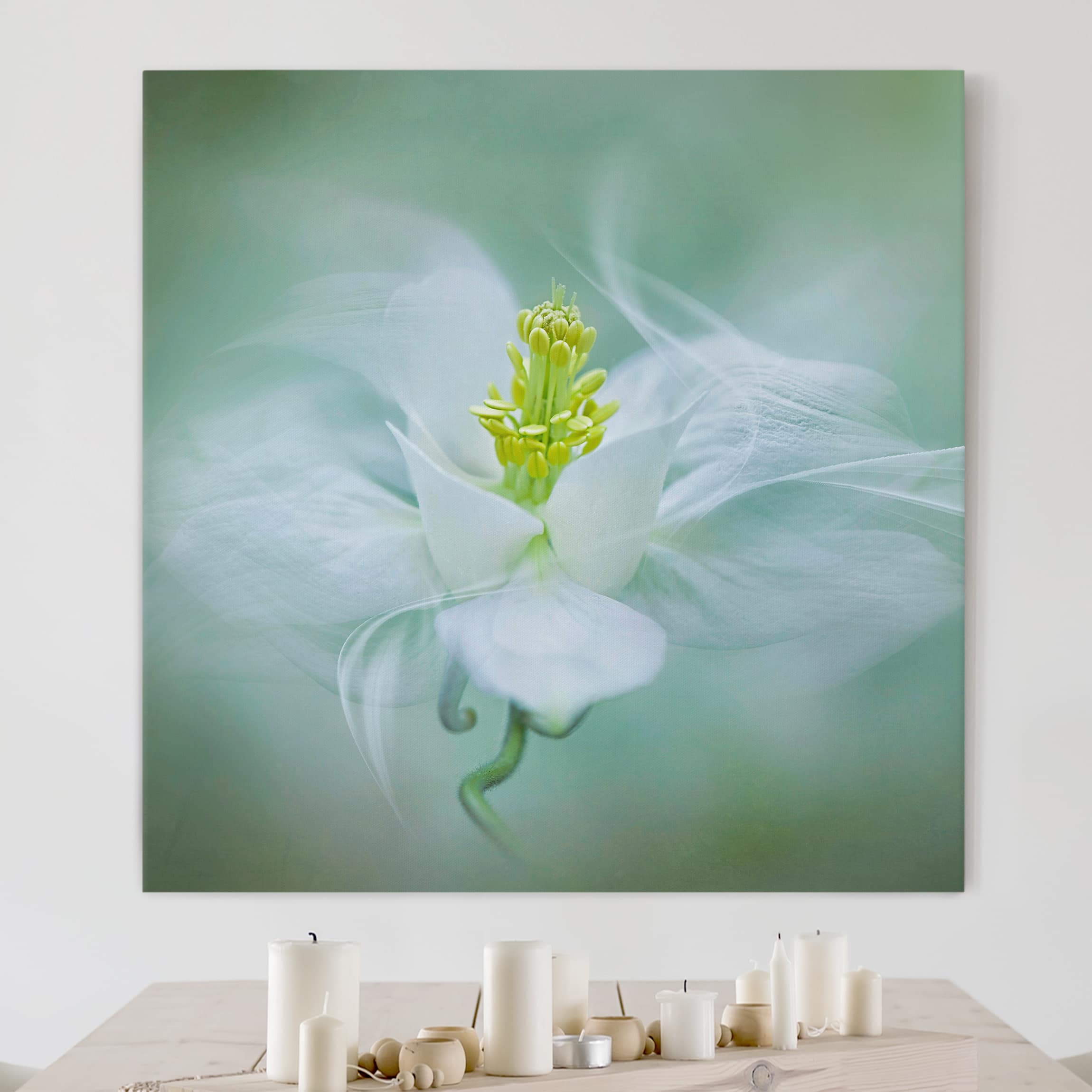 Leinwandbild Blumen Weiße Akelei