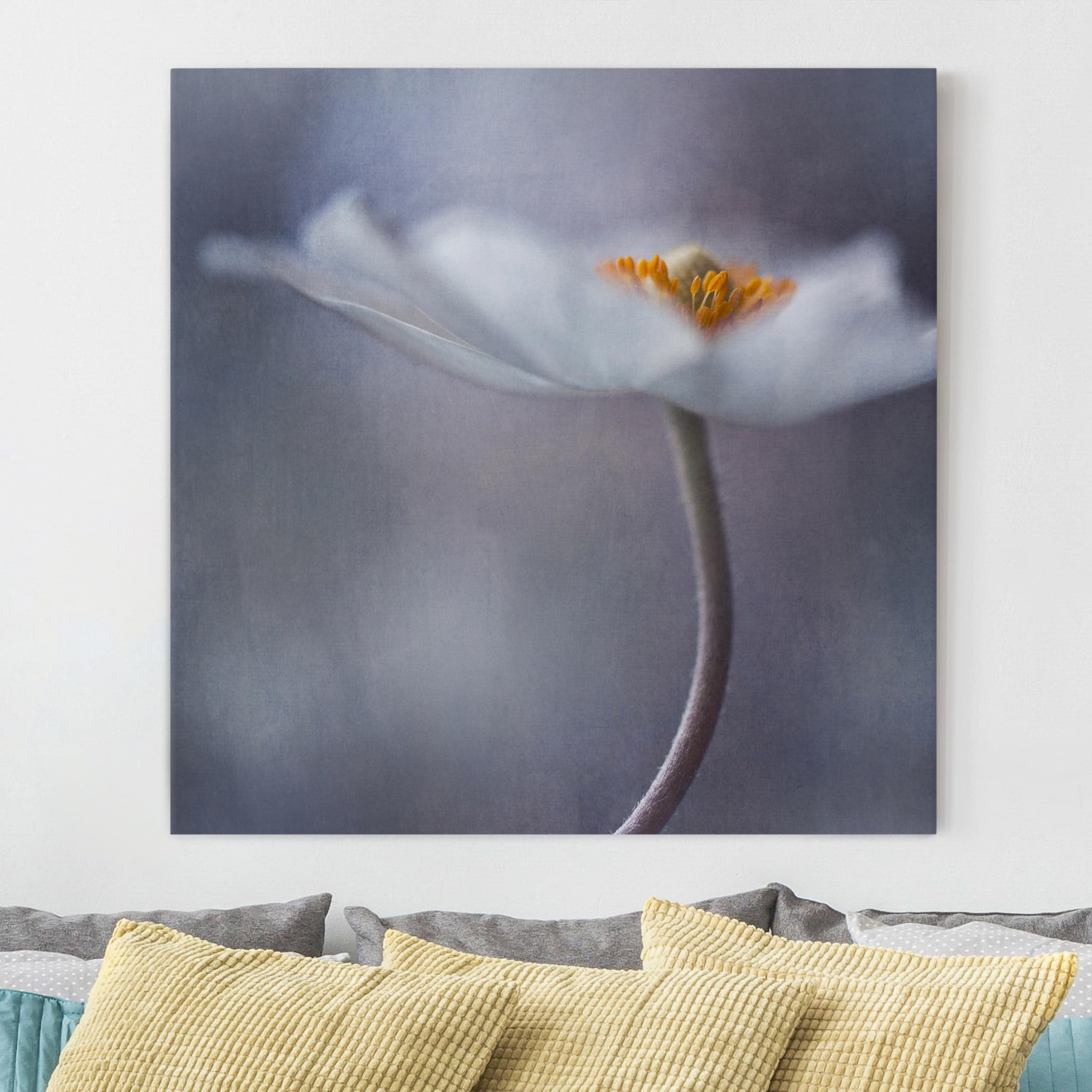 Leinwandbild Blumen Weiße Anemonenblüte