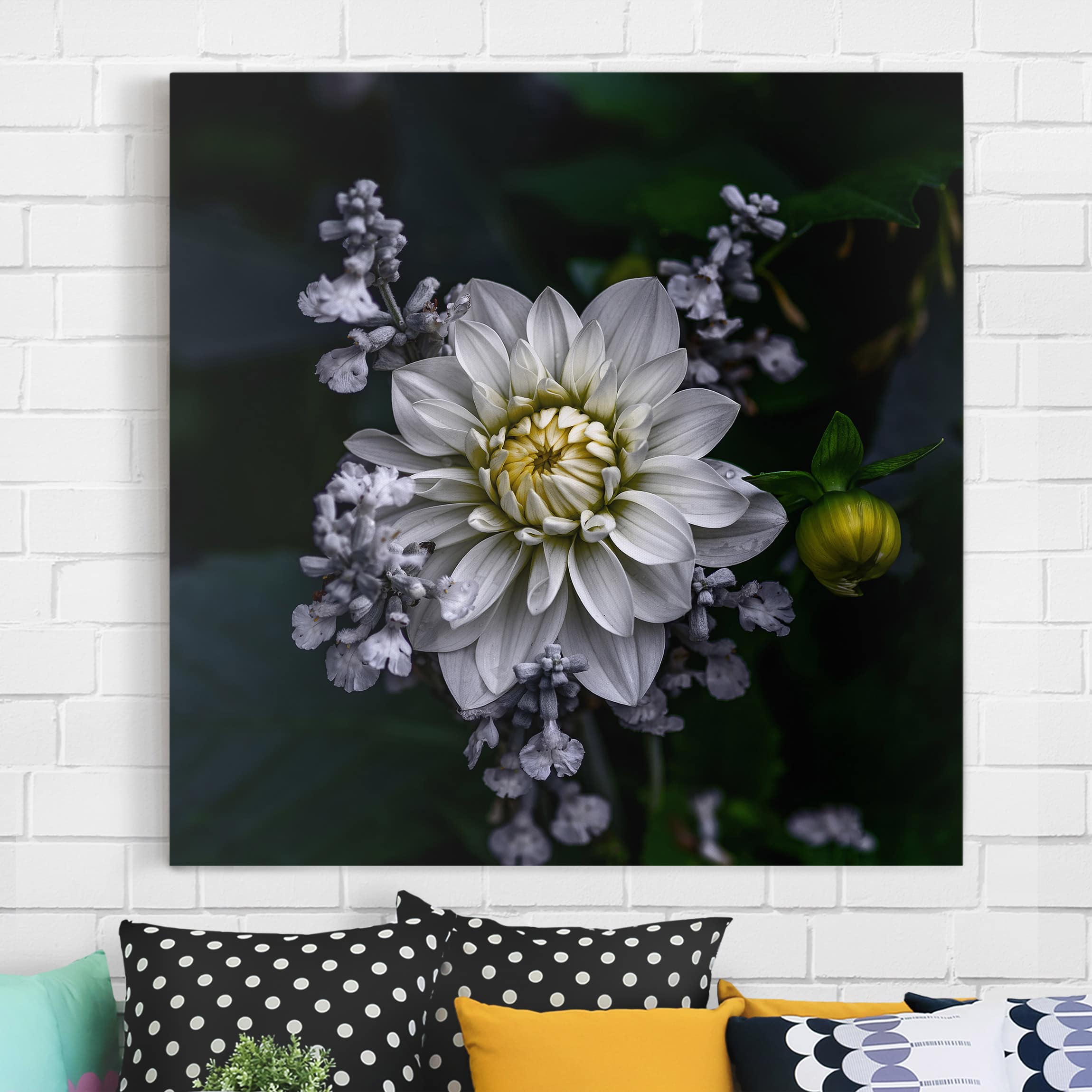 Leinwandbild Blumen Weiße Dahlie