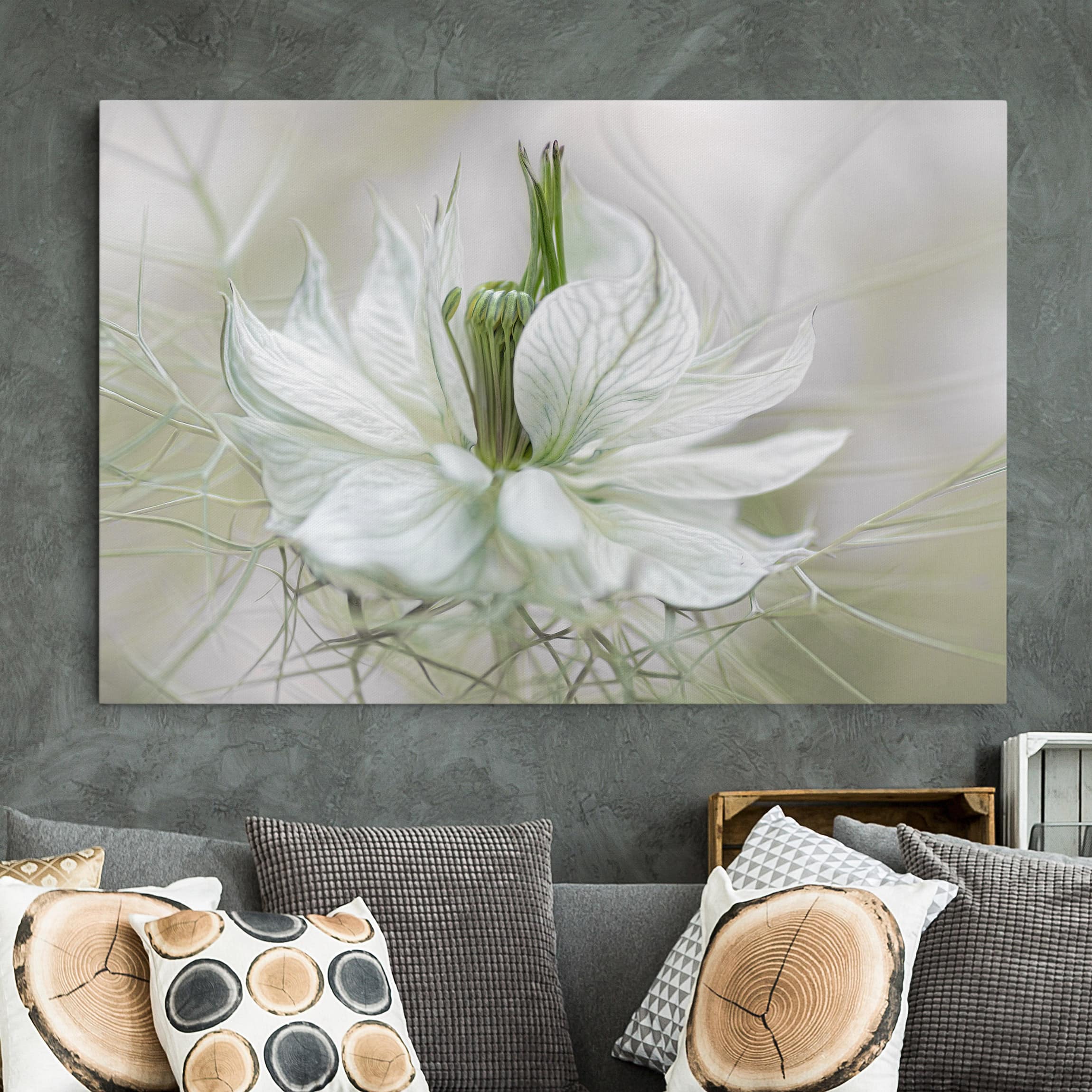 Leinwandbild Blumen Weiße Nigella