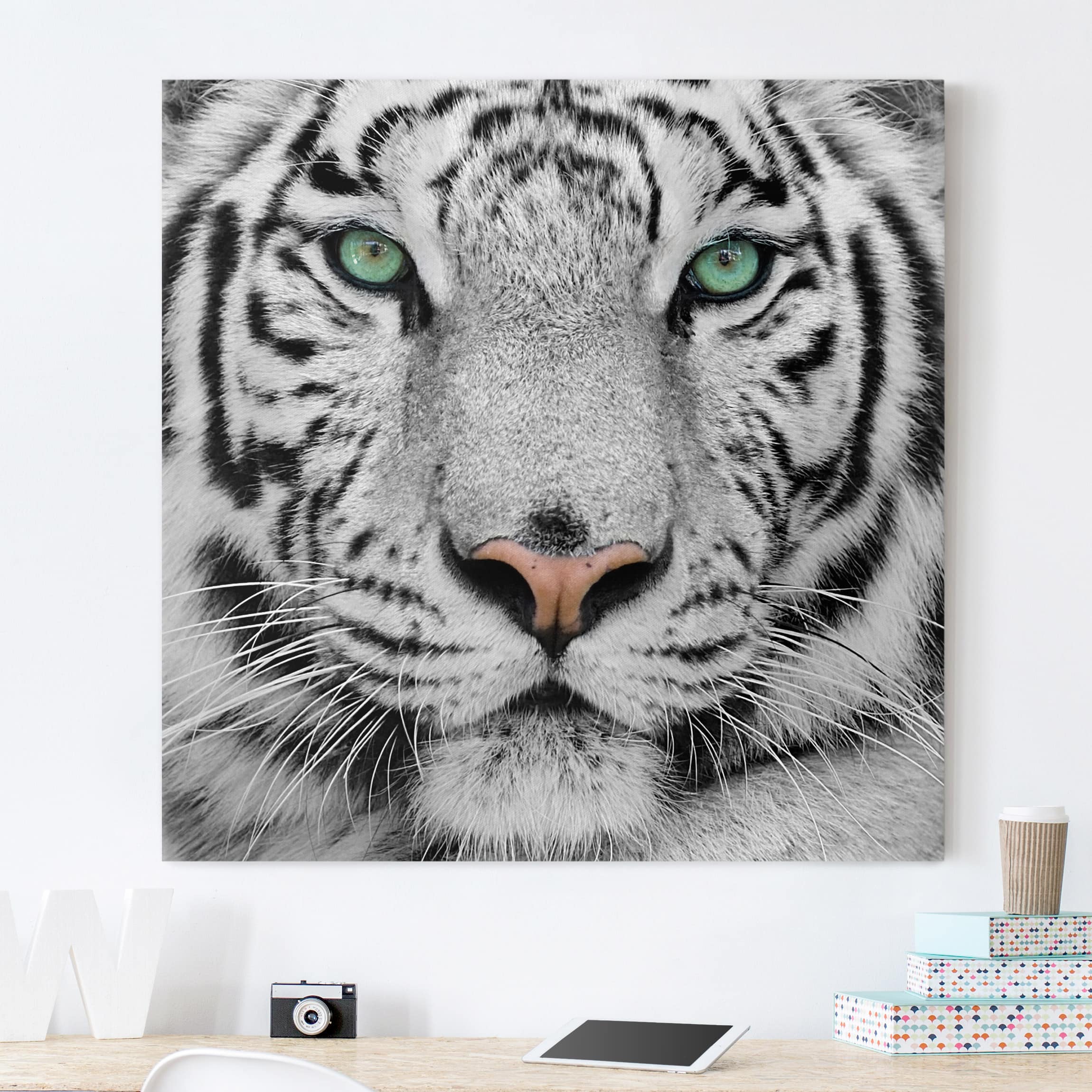 Leinwandbild Tiere Weißer Tiger