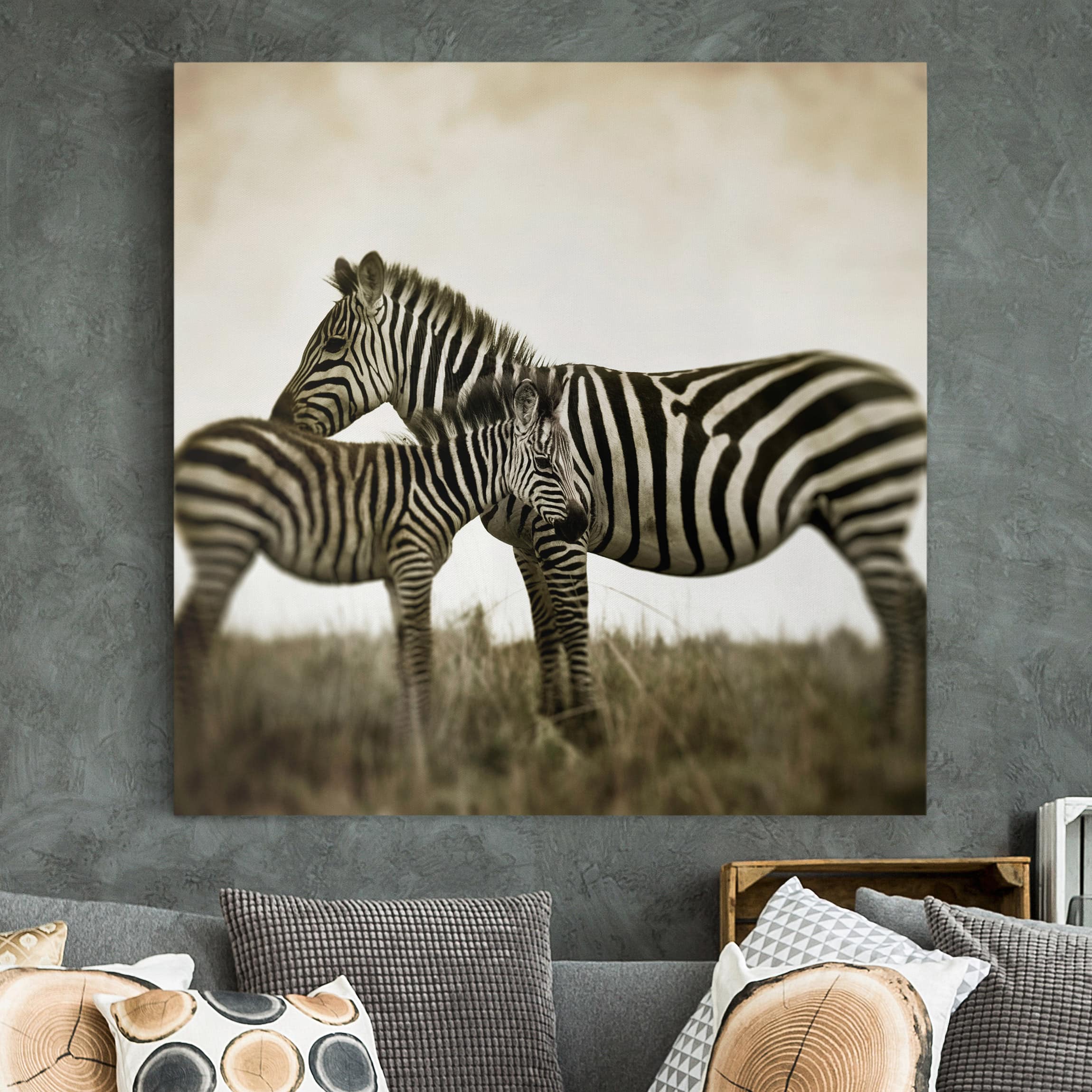Leinwandbild - Quadrat Zebrapaar