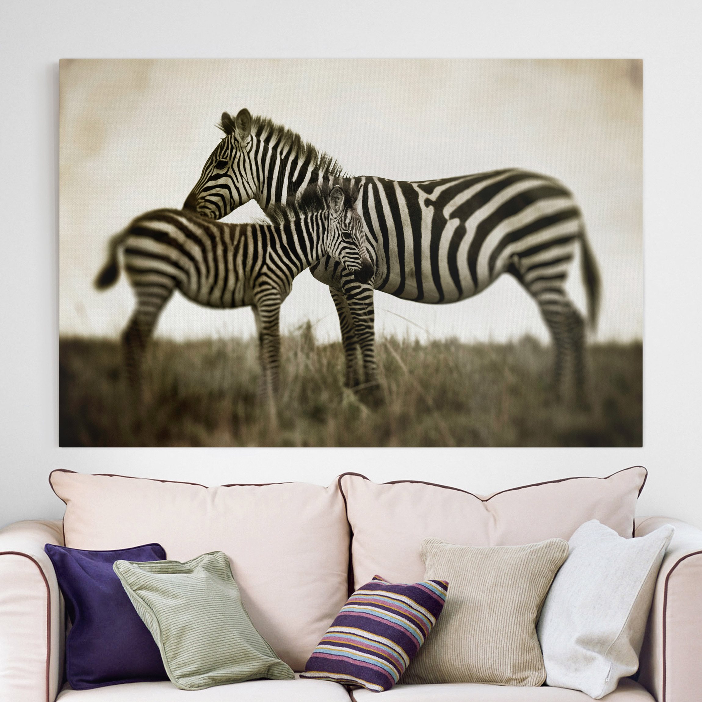 Leinwandbild - Querformat Zebrapaar