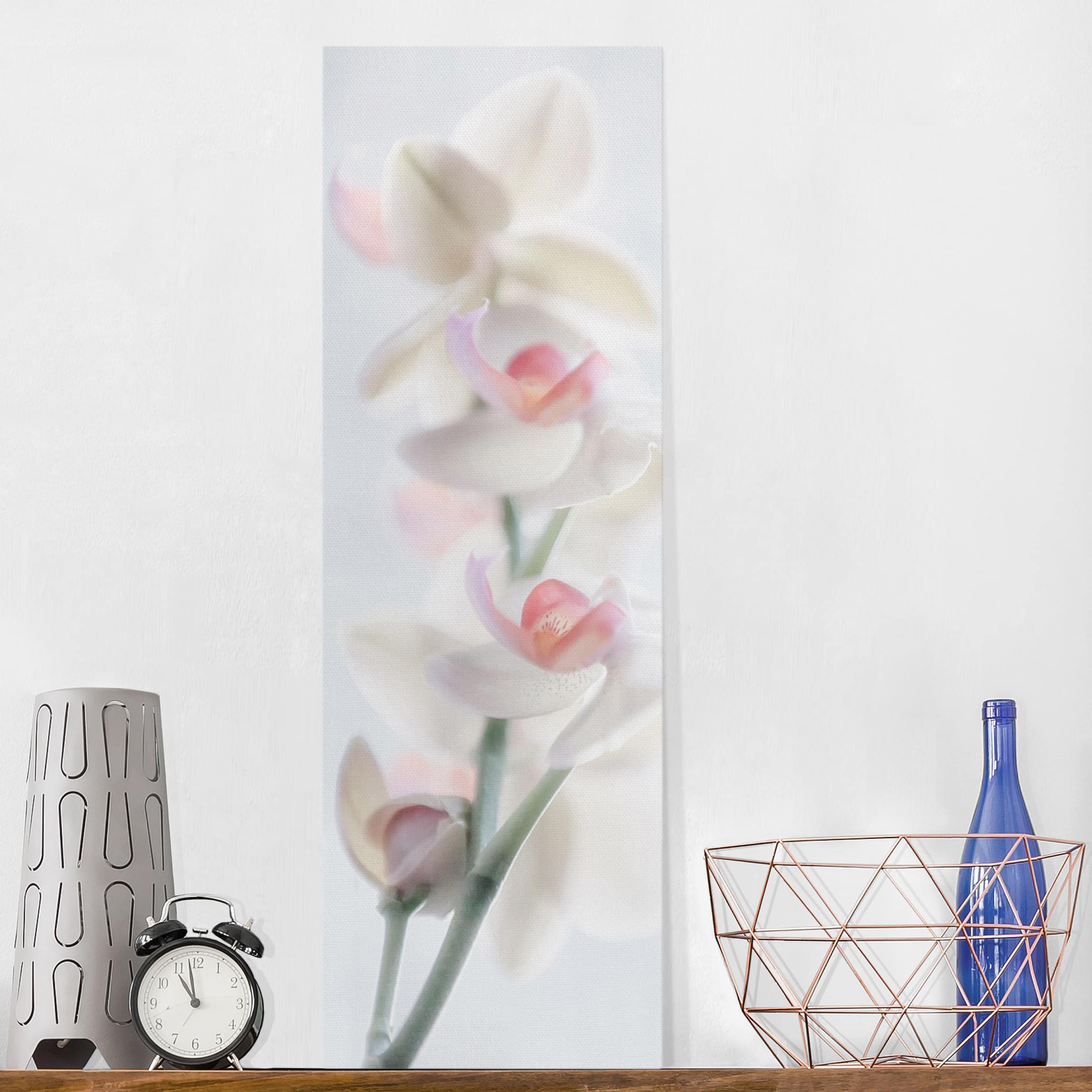 Leinwandbild Blumen Zerbrechliche Orchidee