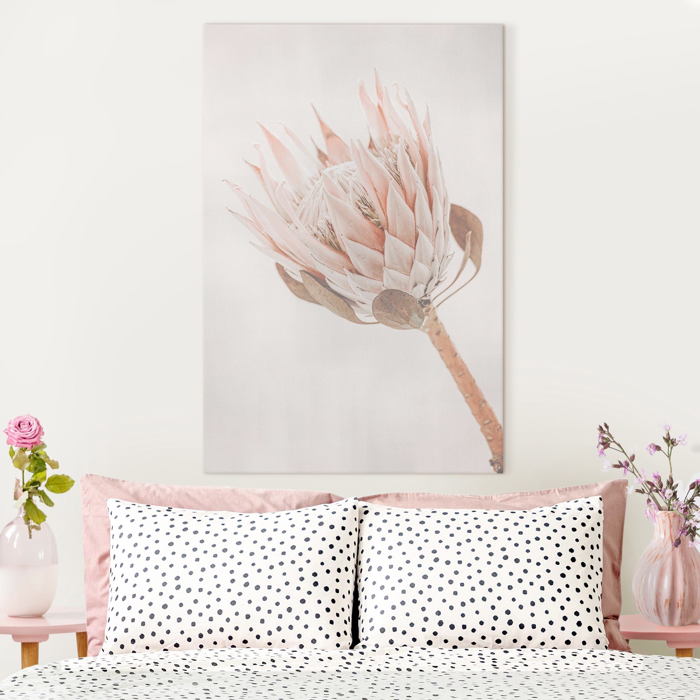 Leinwandbild Protea Königin der Blüten