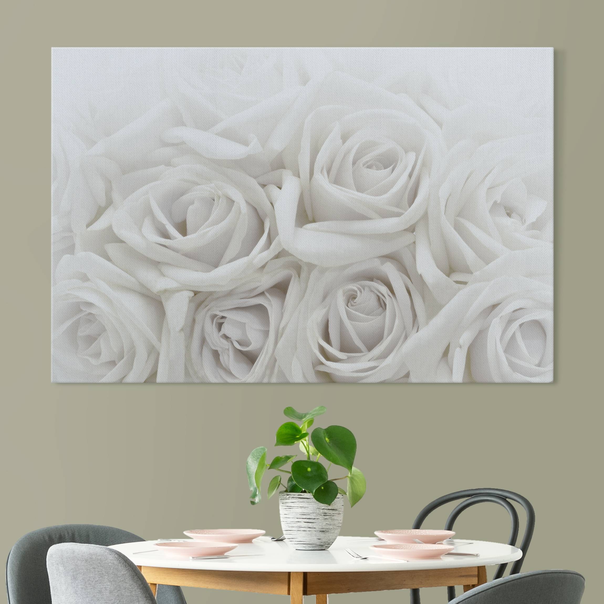 Akustikbild Weiße Rosen
