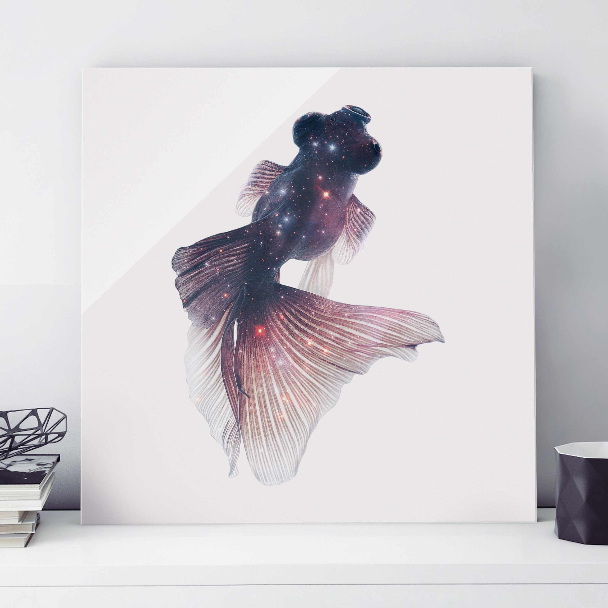 Glasbild - Quadrat Fisch mit Galaxie