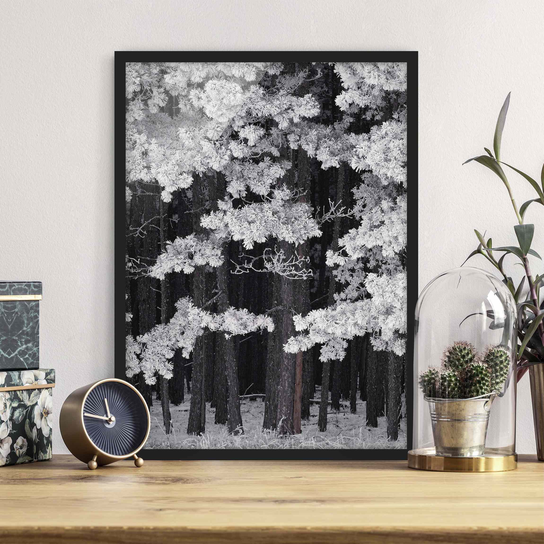 Bild mit Rahmen - Hochformat Wald mit Raureif in Österreich