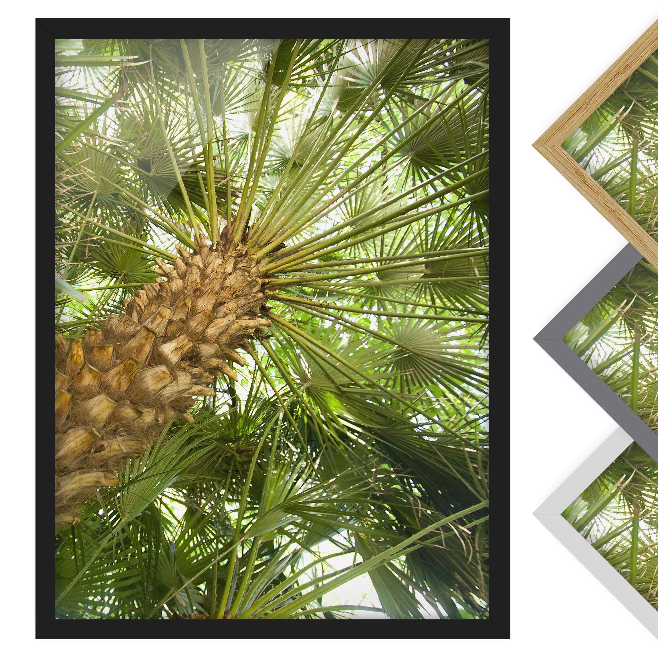 Bild mit Rahmen - Hochformat Tropical Island