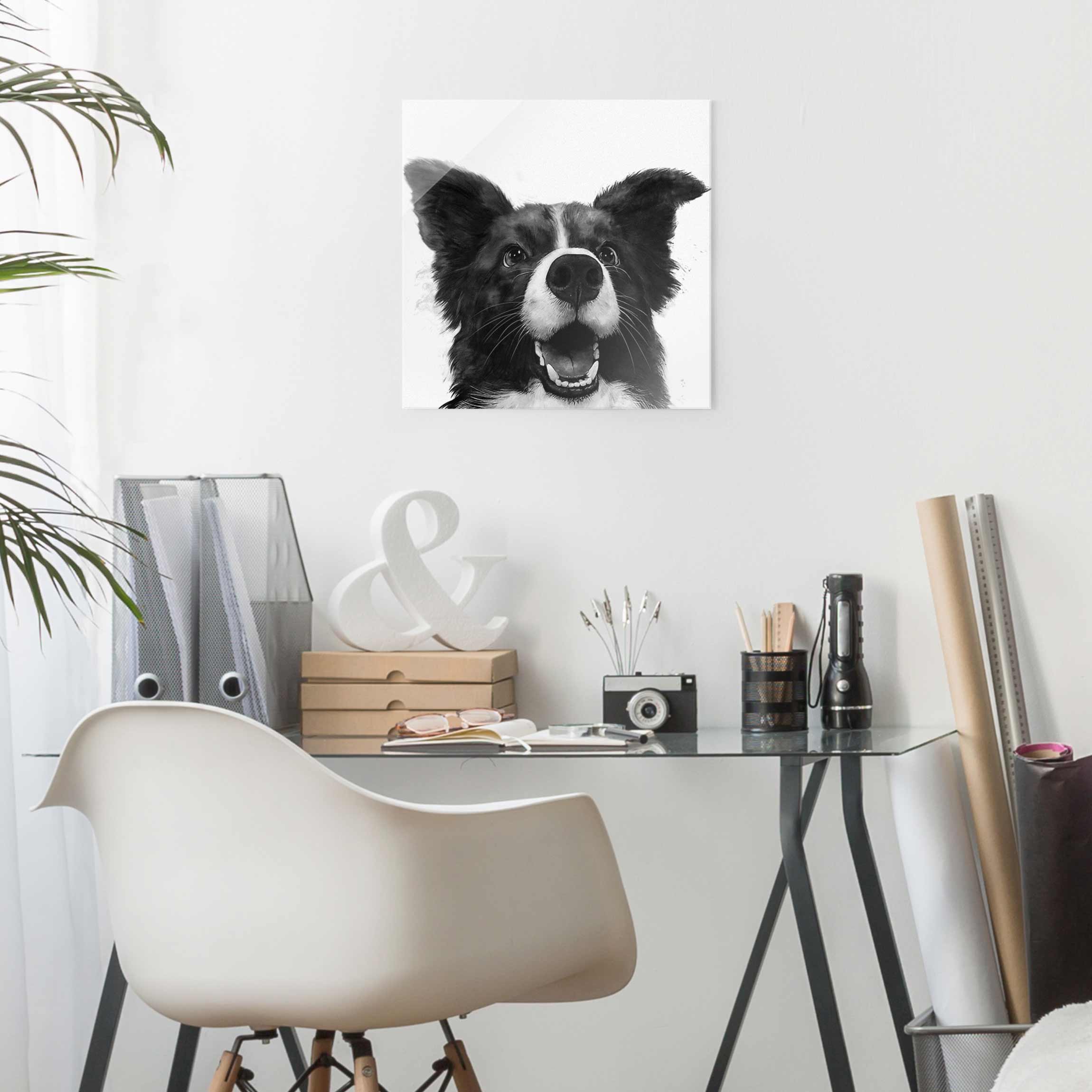 Glasbild - Quadrat Illustration Hund Border Collie Schwarz Weiß Malerei